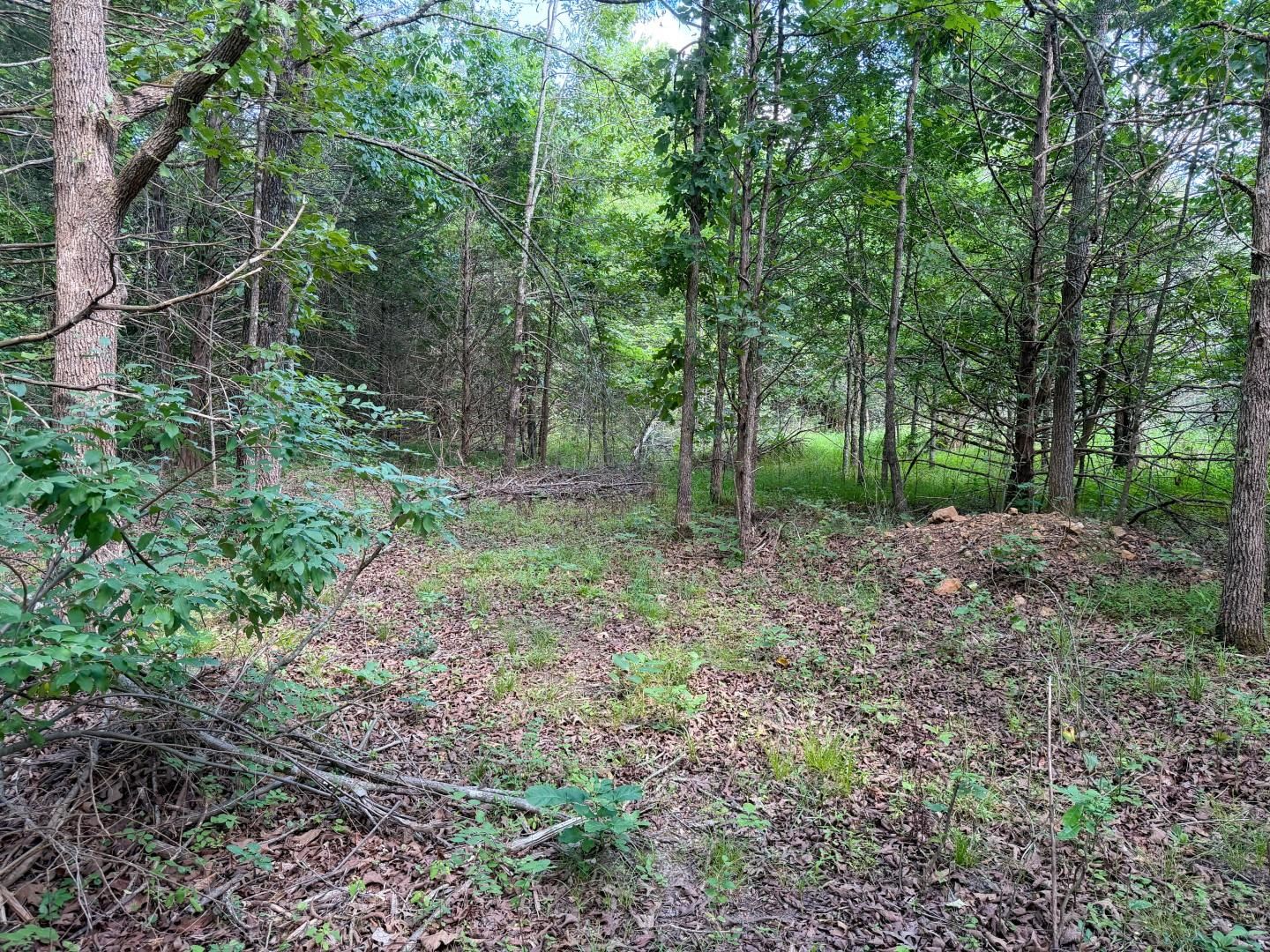501 Spoon Drive Property Photo 3