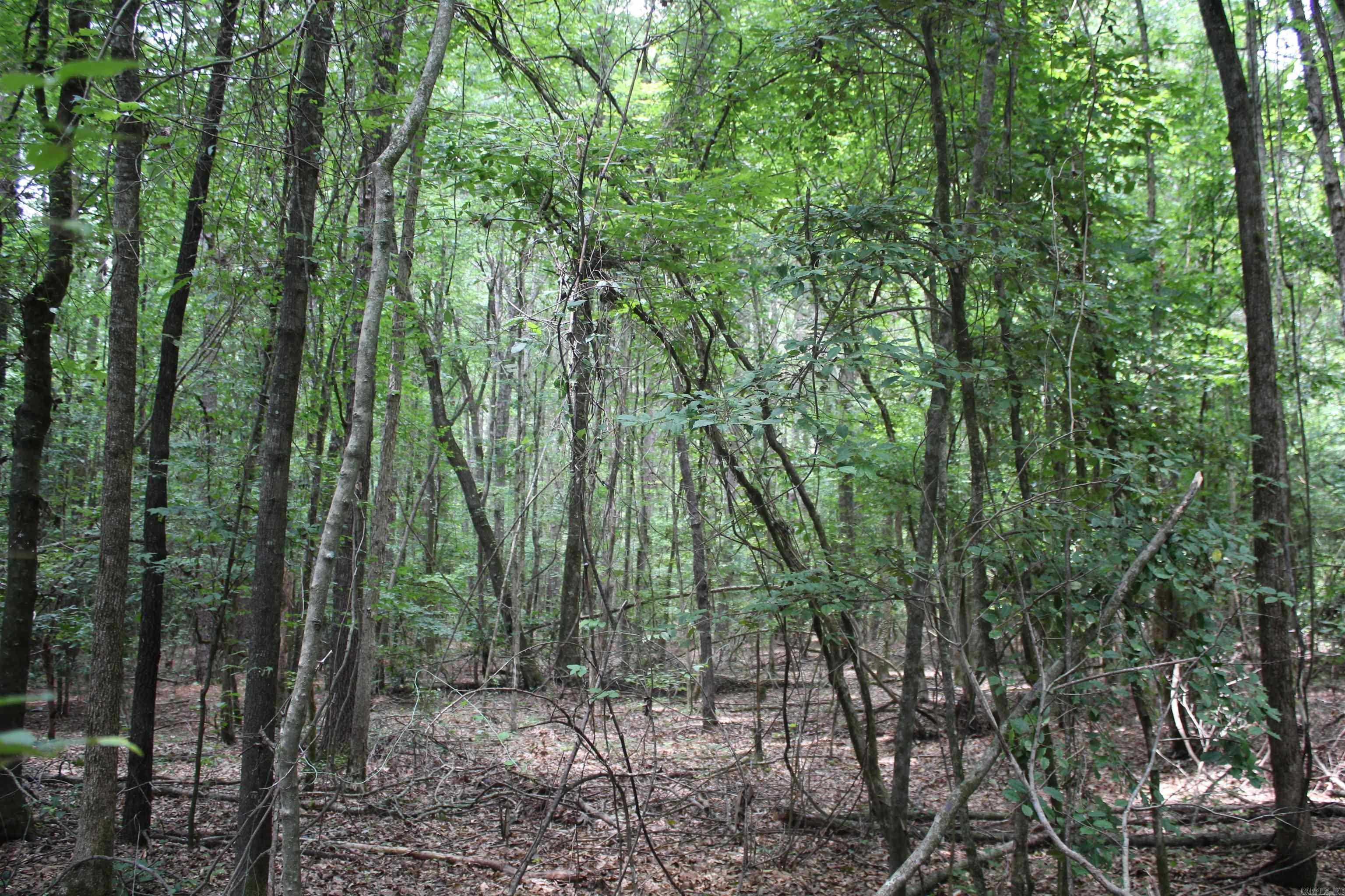 Cornbridge Road Property Photo 3
