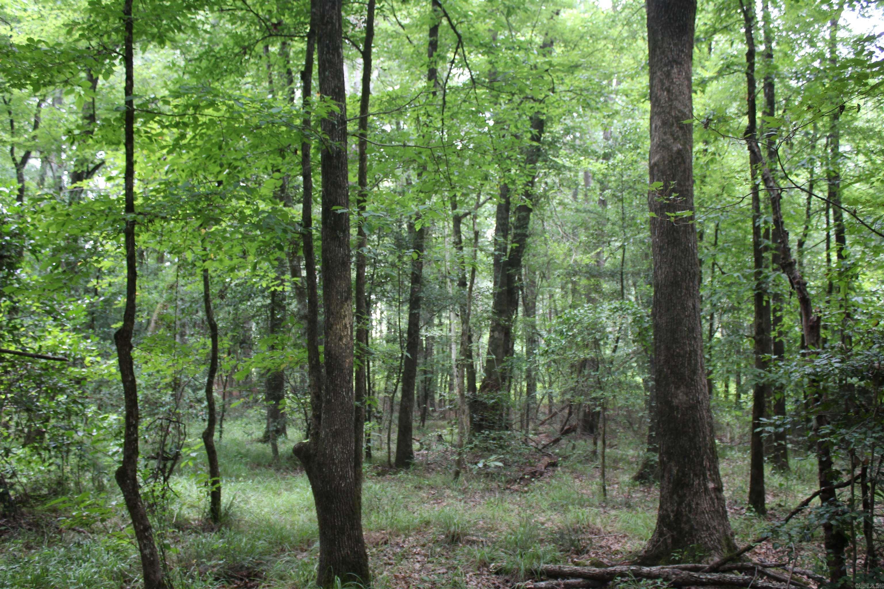 Cornbridge Road Property Photo 4