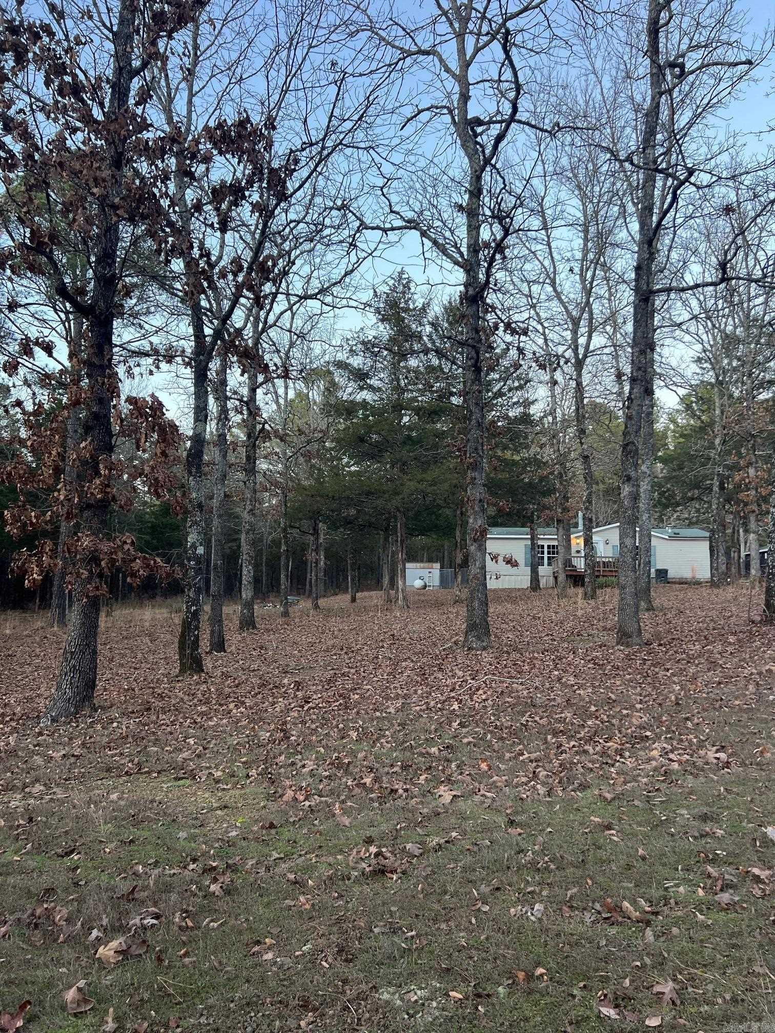 351 Grady Property Photo 2