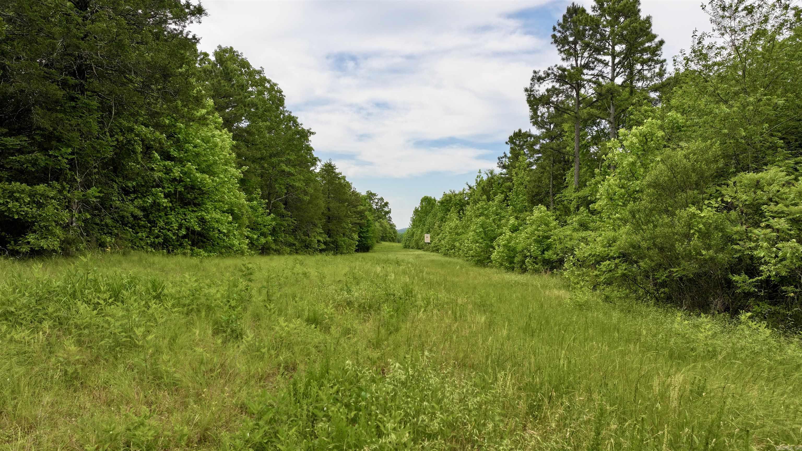 106 Friendship Place Property Photo 14