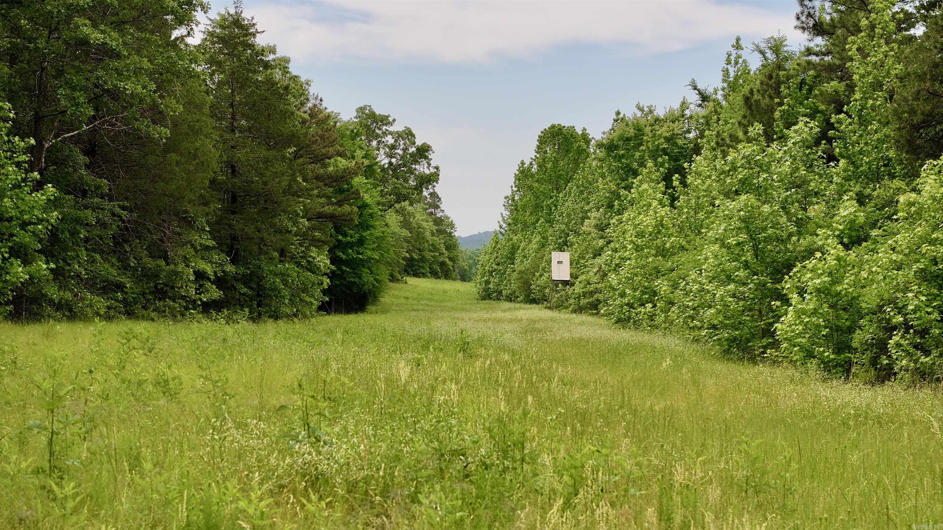 106 Friendship Place Property Photo 15