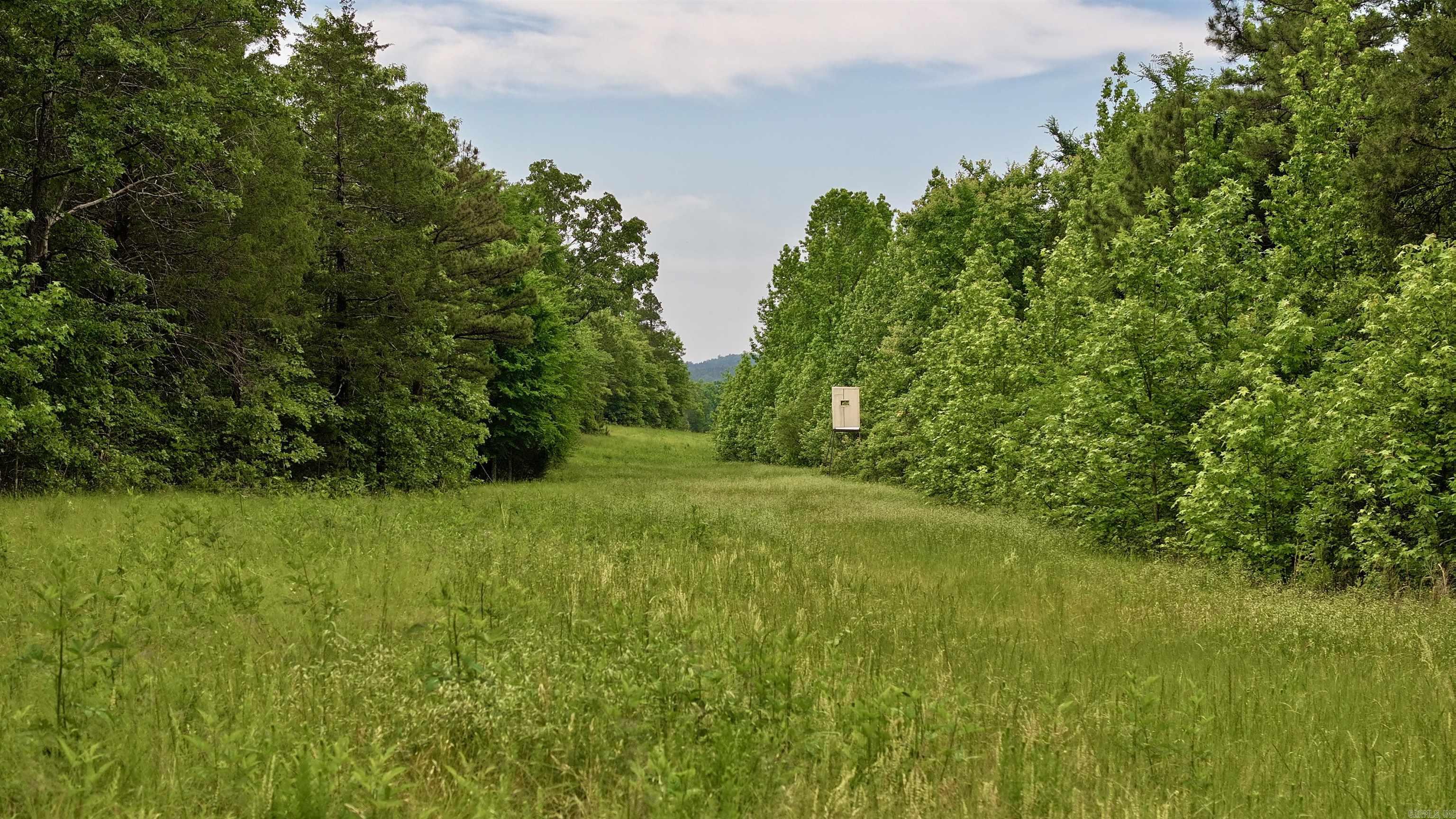 106 Friendship Place Property Photo 16