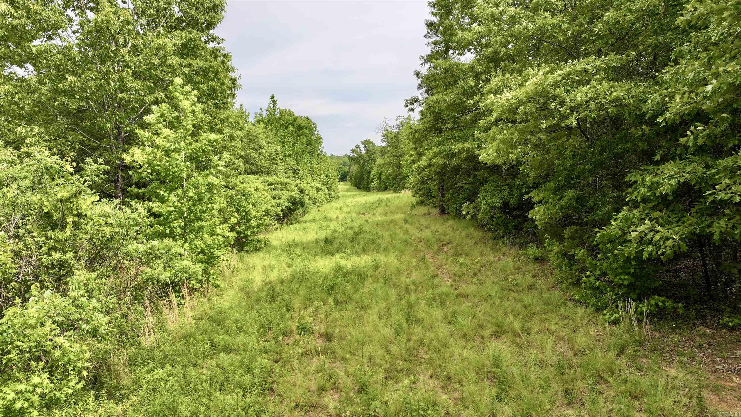 106 Friendship Place Property Photo 18