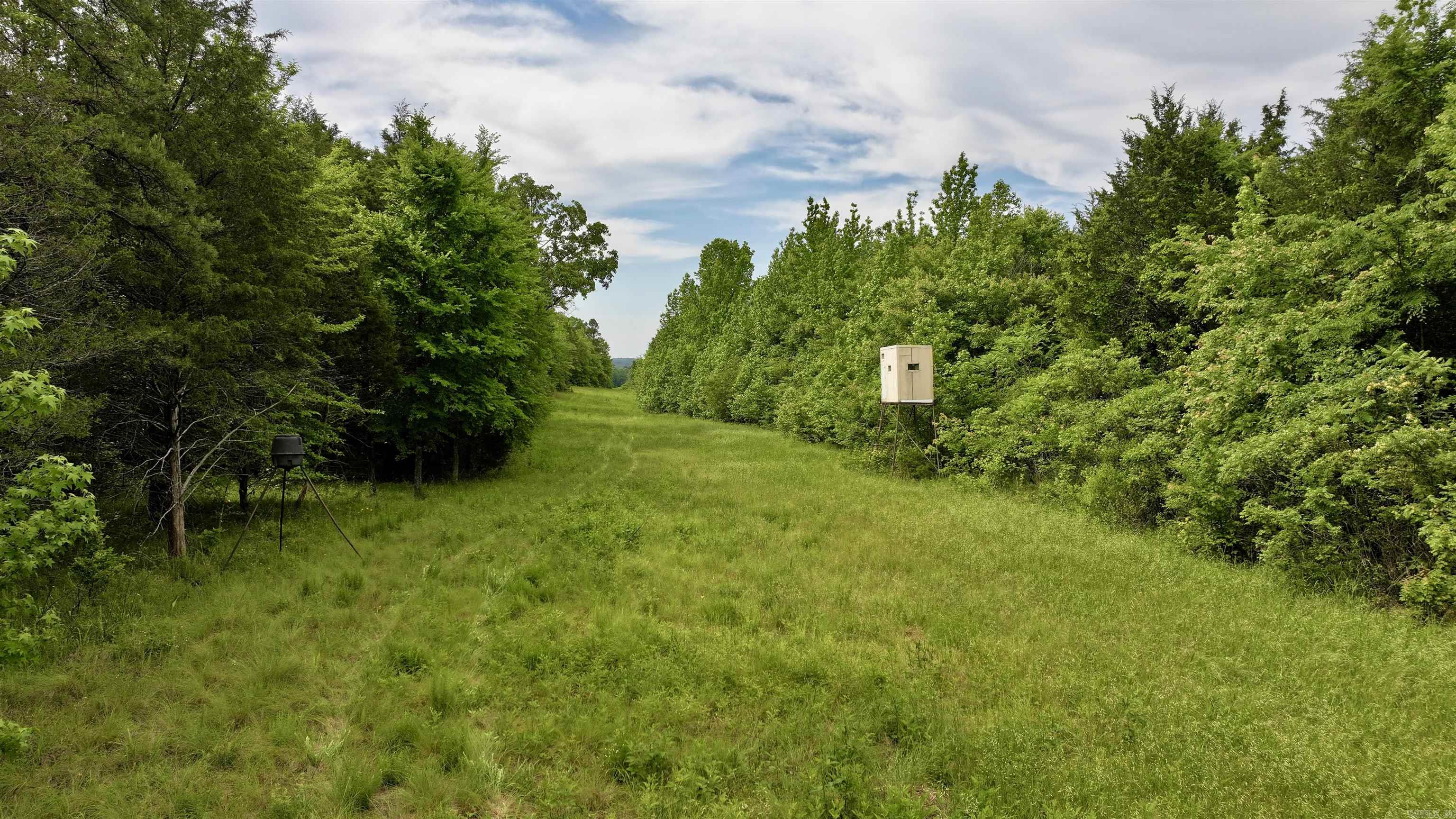 106 Friendship Place Property Photo 19