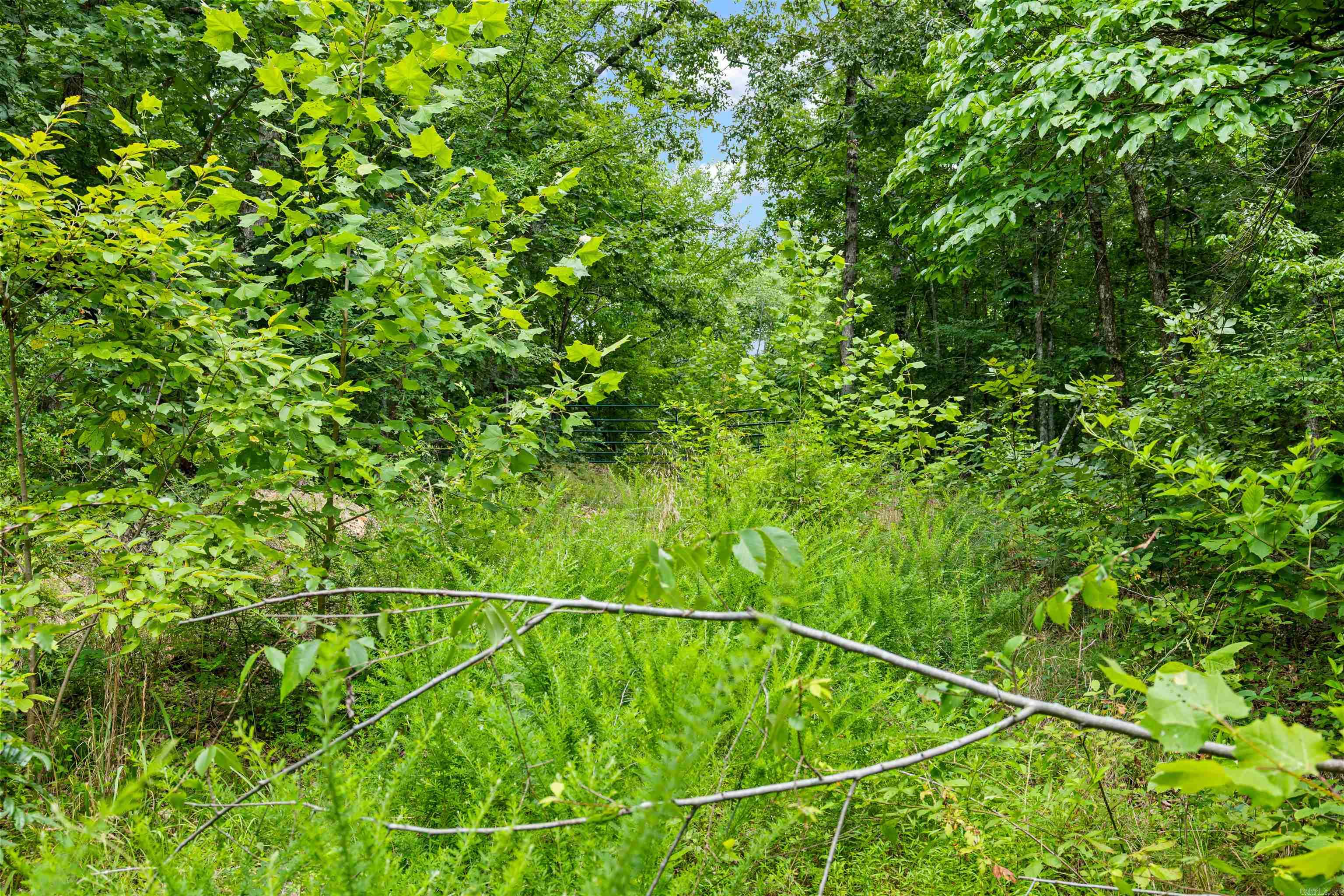 00 Brewer Hill Property Photo 11