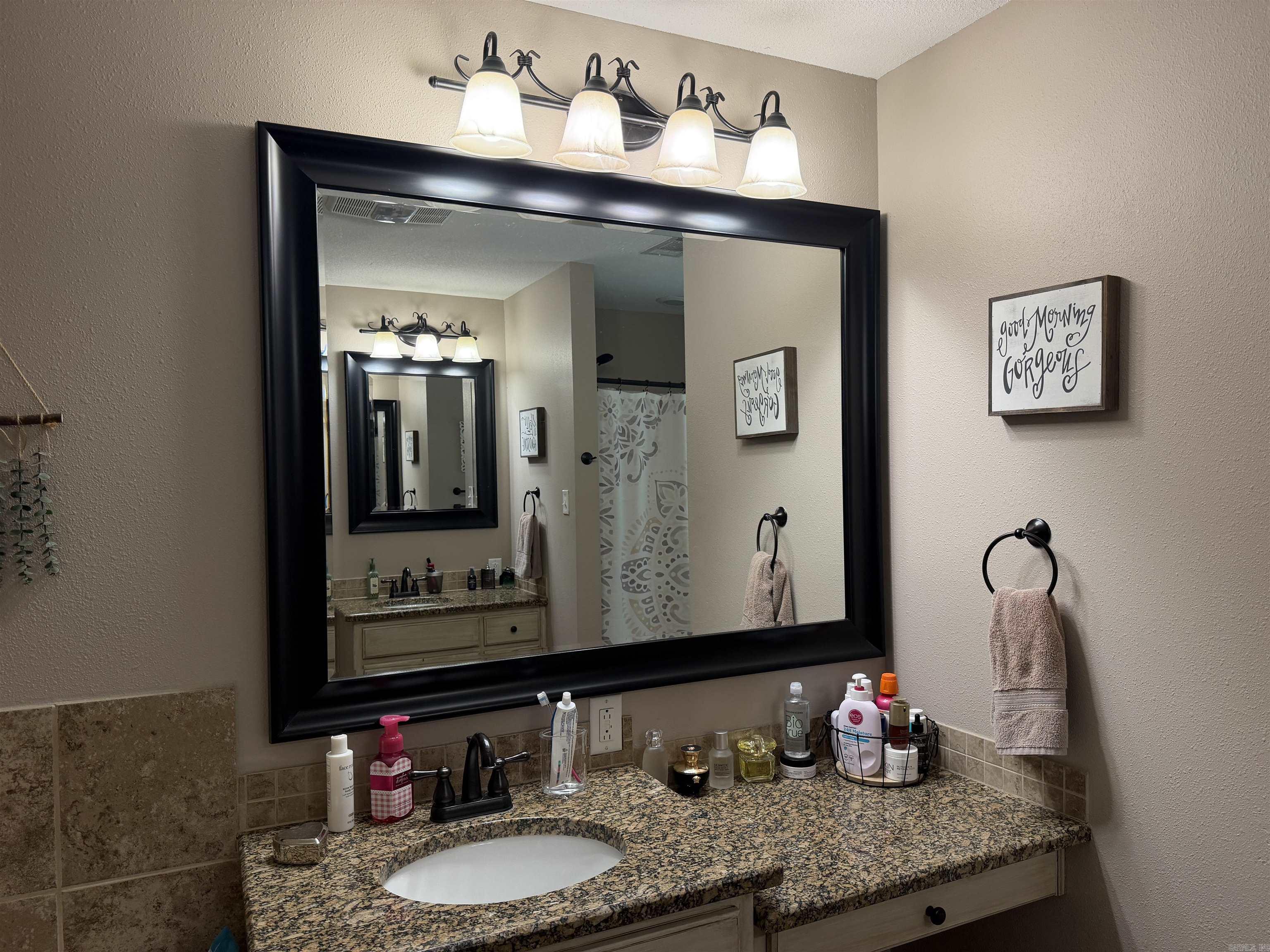 361 Regal Oaks Circle Property Photo 19