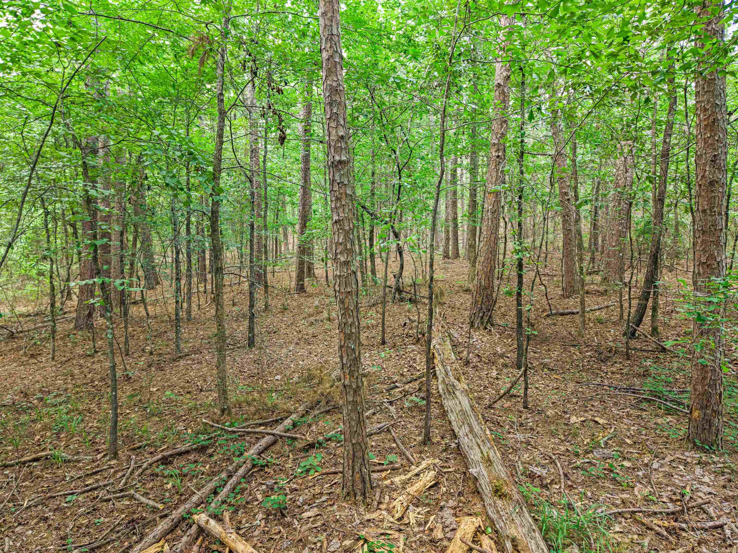 1057 Hamilton Dairy Property Photo 31