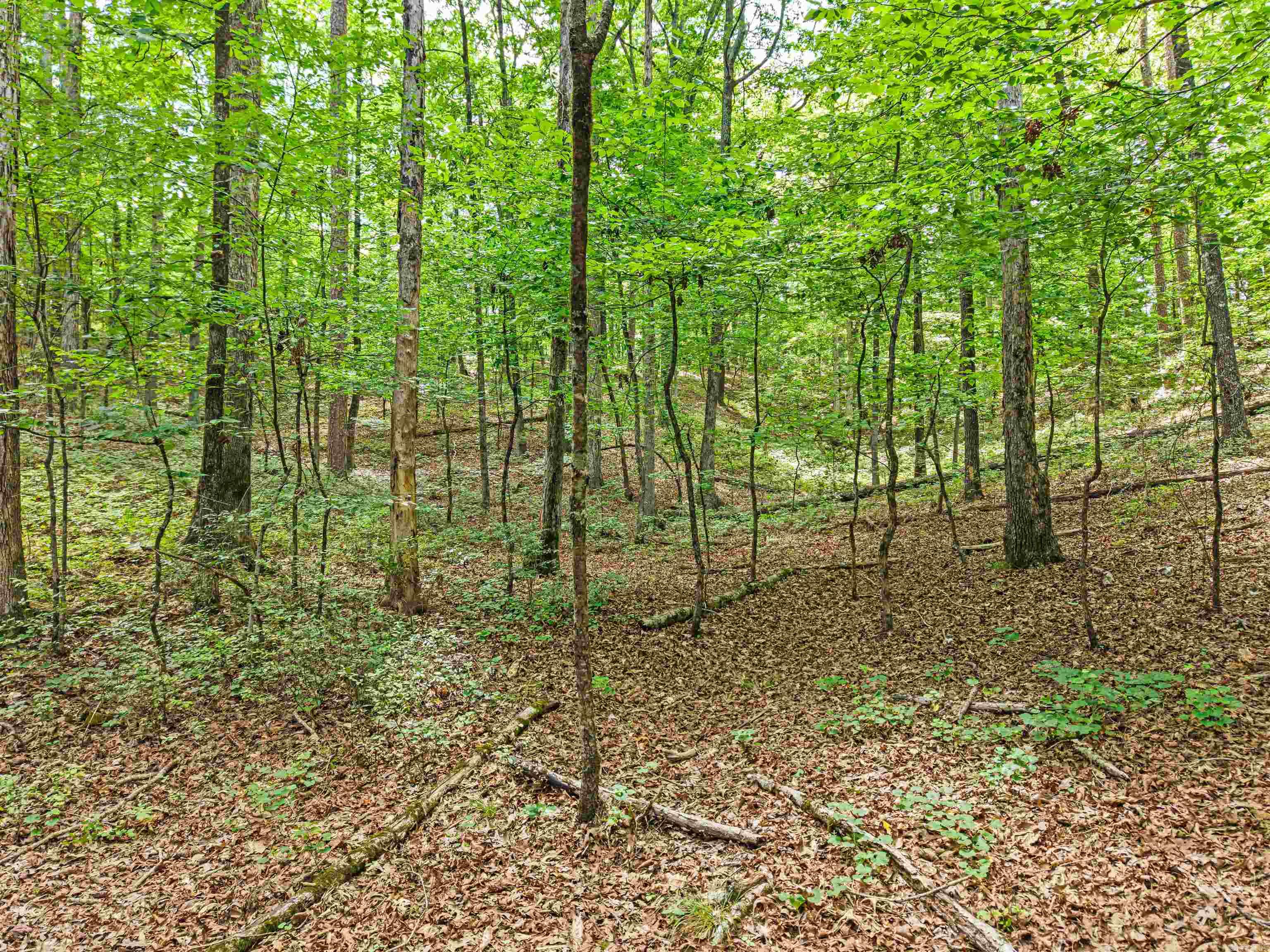 1057 Hamilton Dairy Property Photo 32