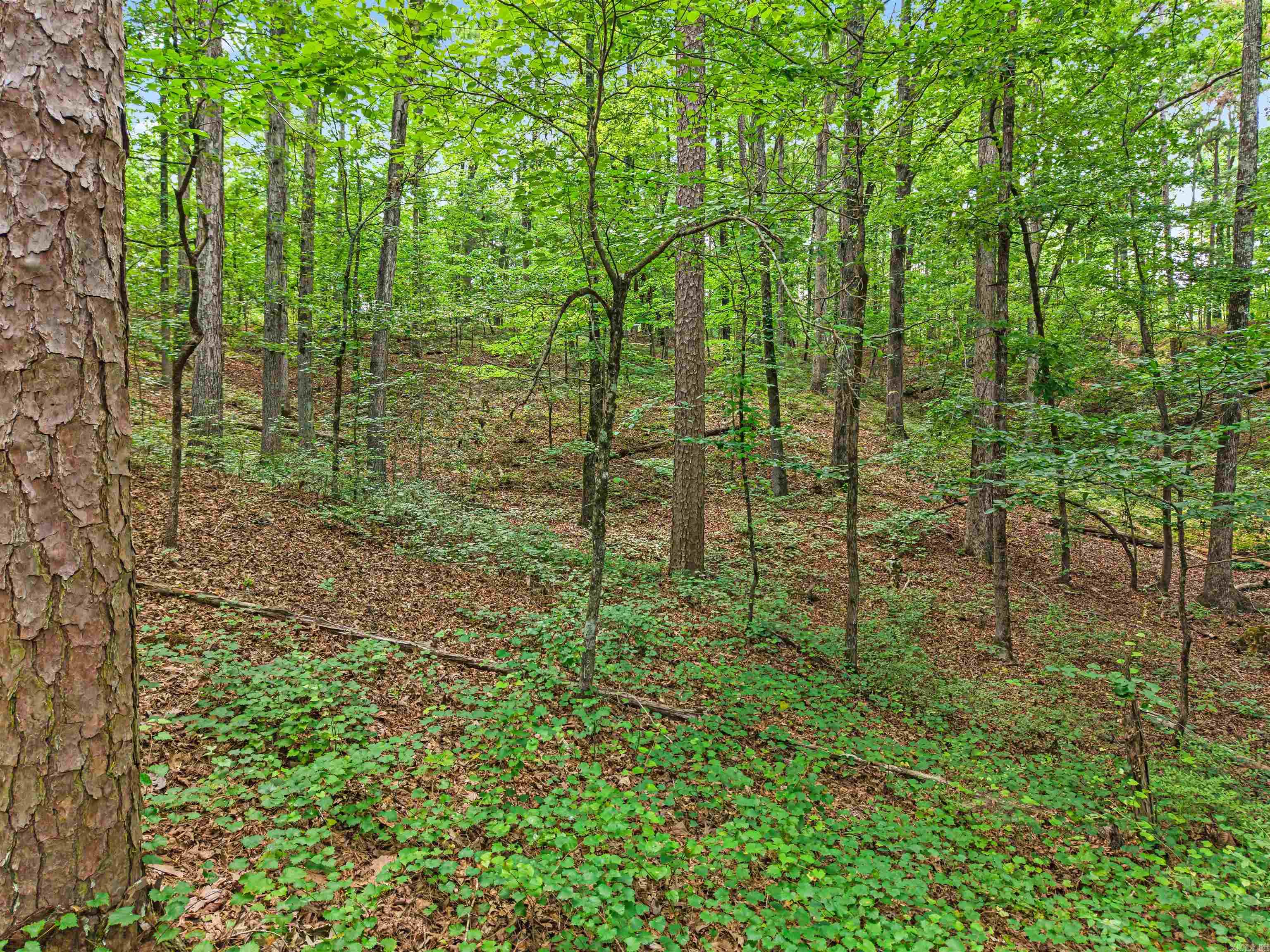 1057 Hamilton Dairy Property Photo 33