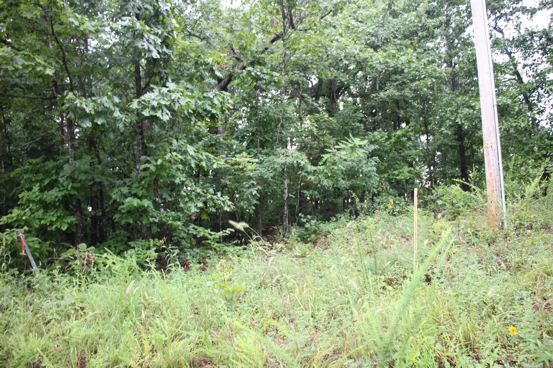 Green Forest Trail Property Photo 1