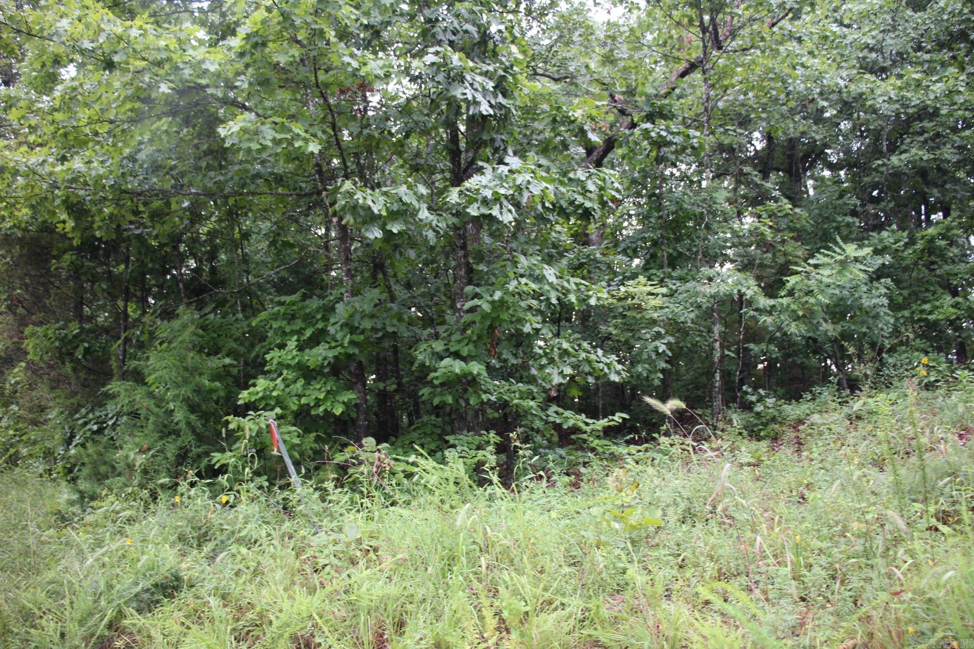 Green Forest Trail Property Photo 2