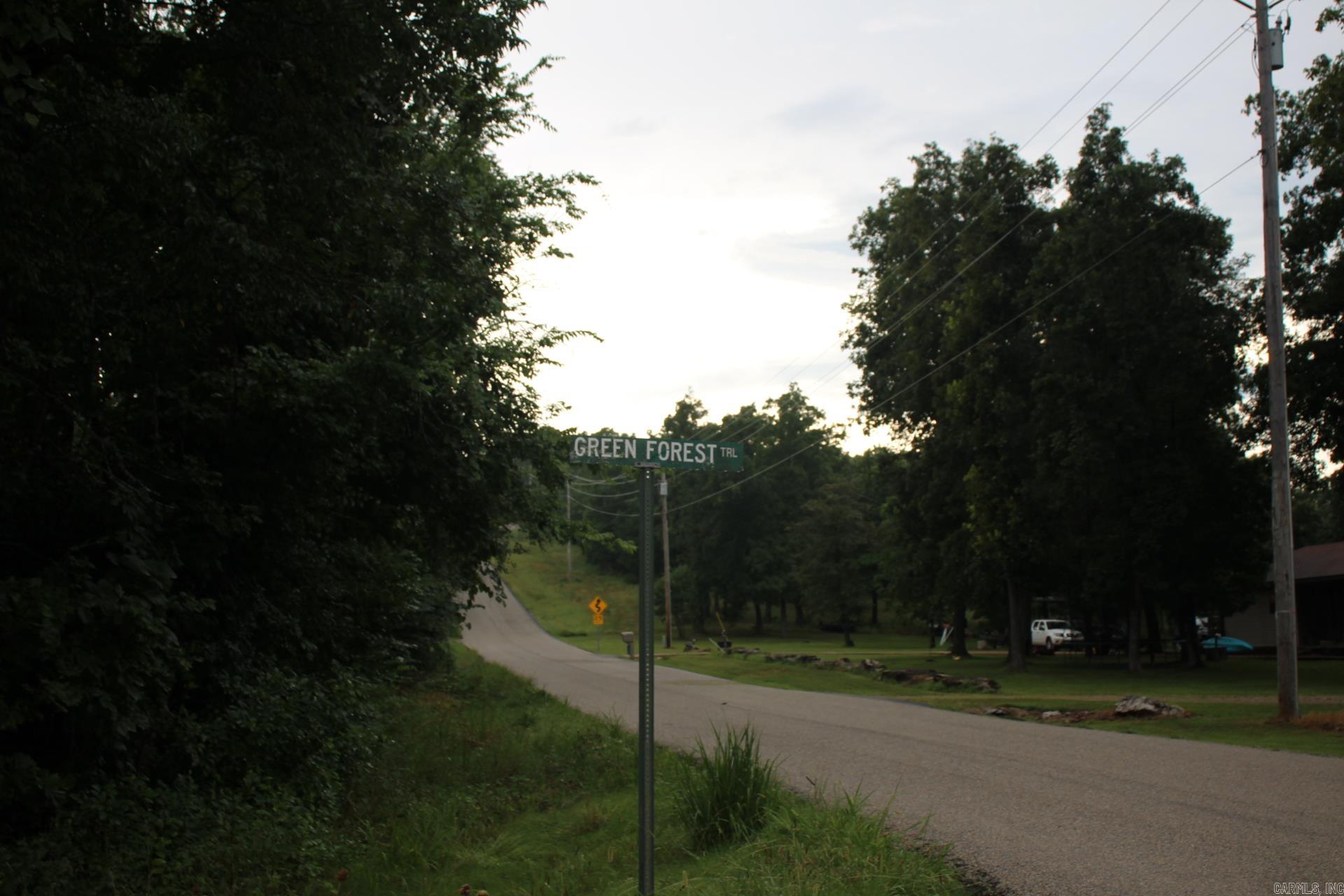 Green Forest Trail Property Photo 3
