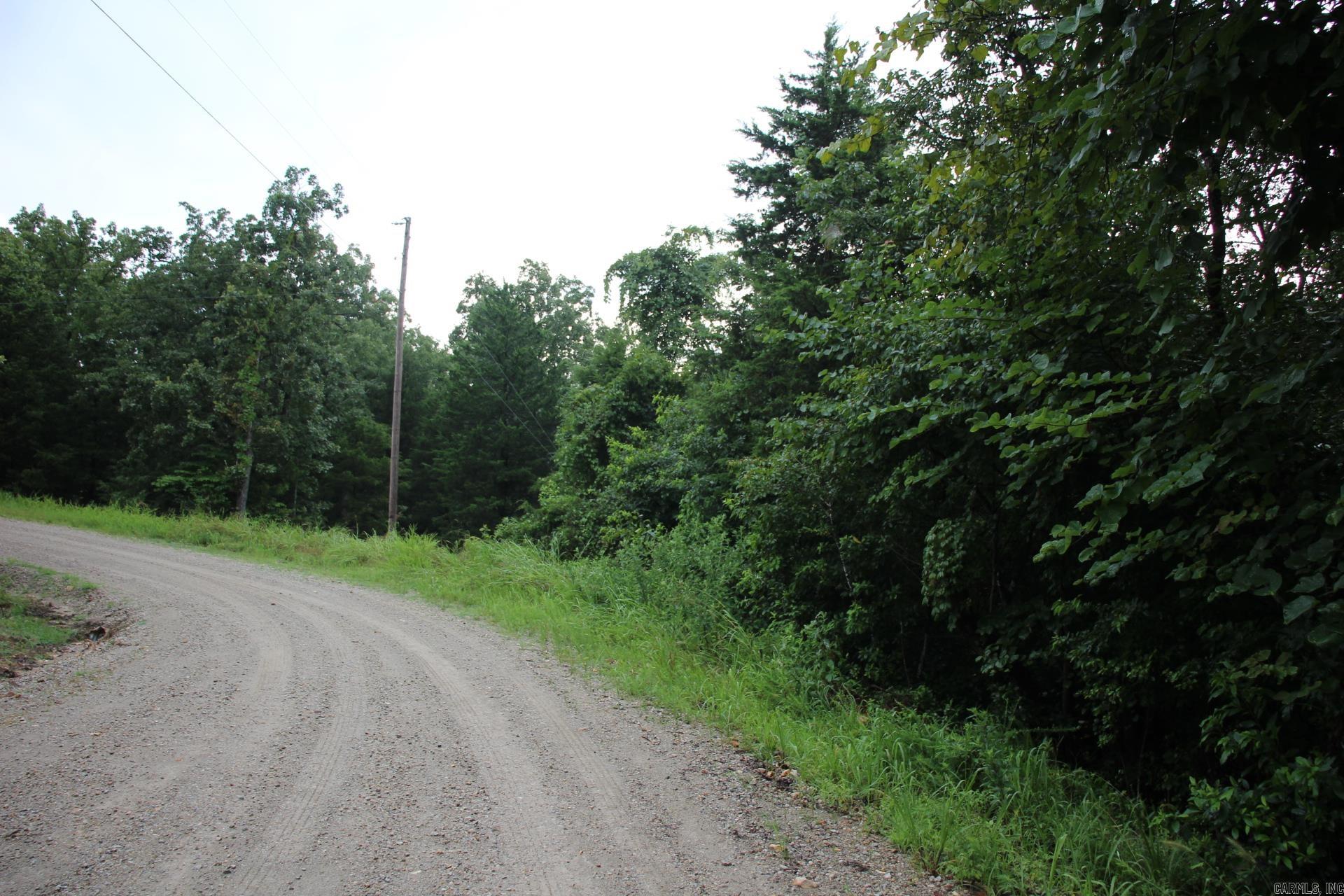 Green Forest Trail Property Photo 4
