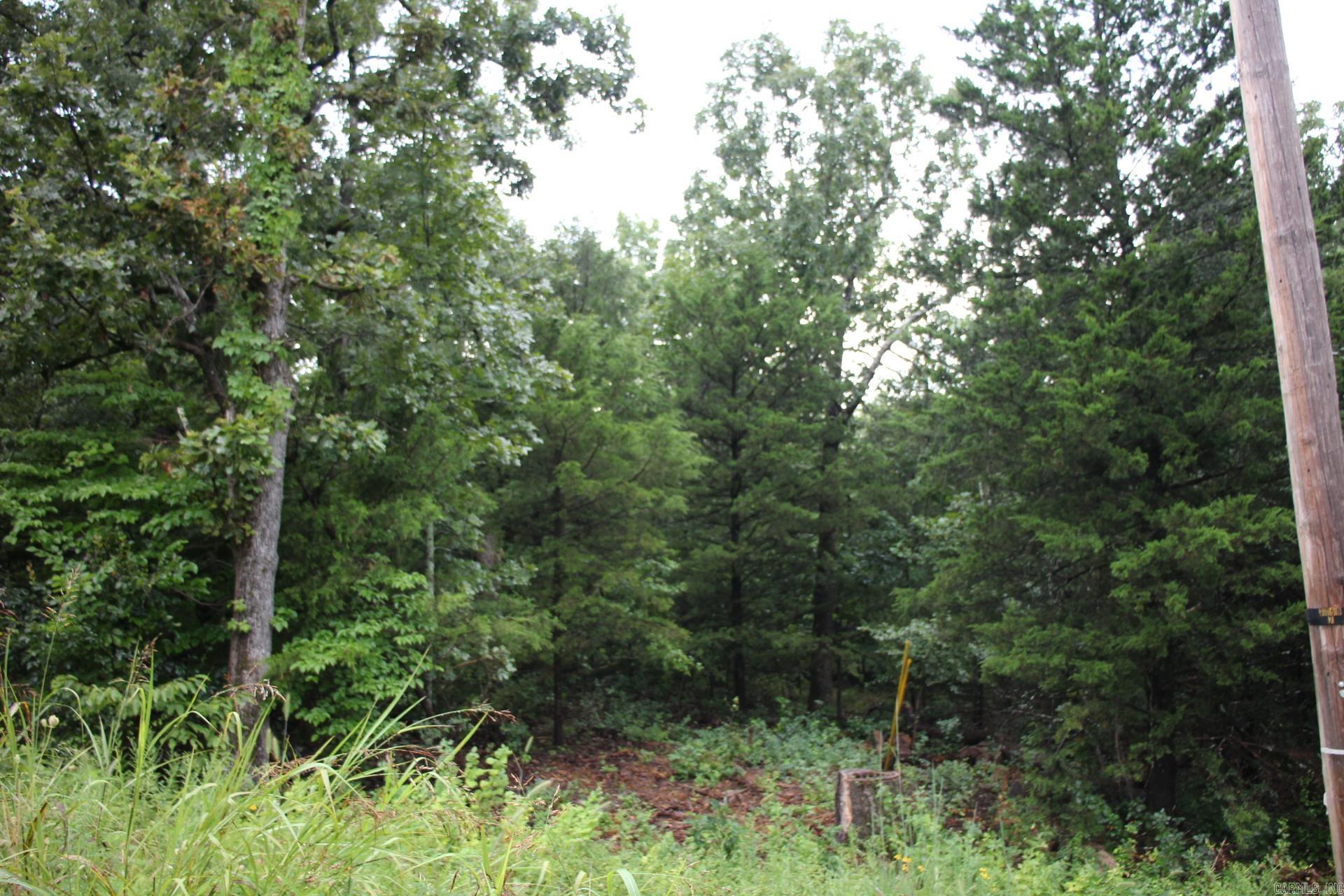 Green Forest Trail Property Photo 6