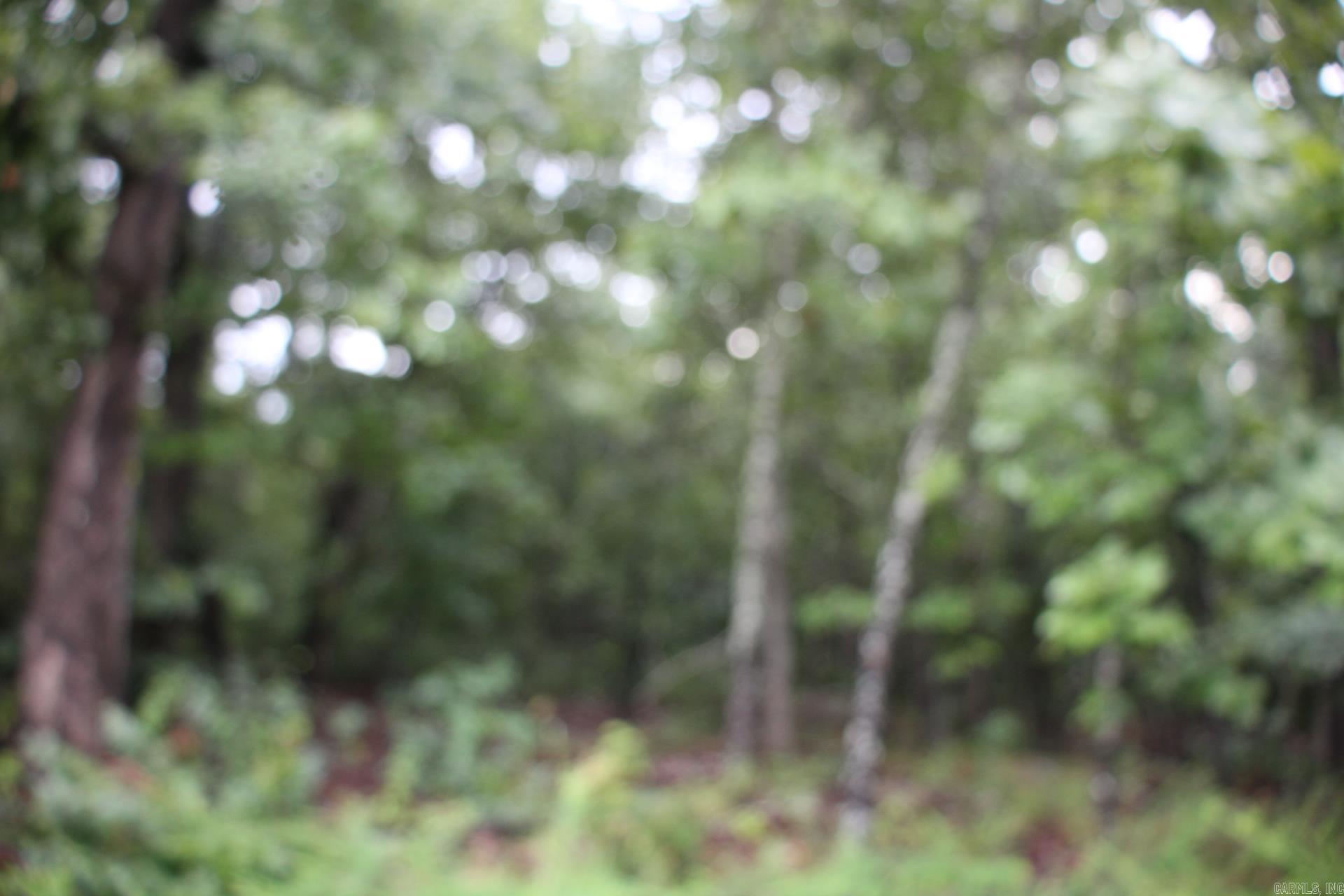 Green Forest Trail Property Photo 7