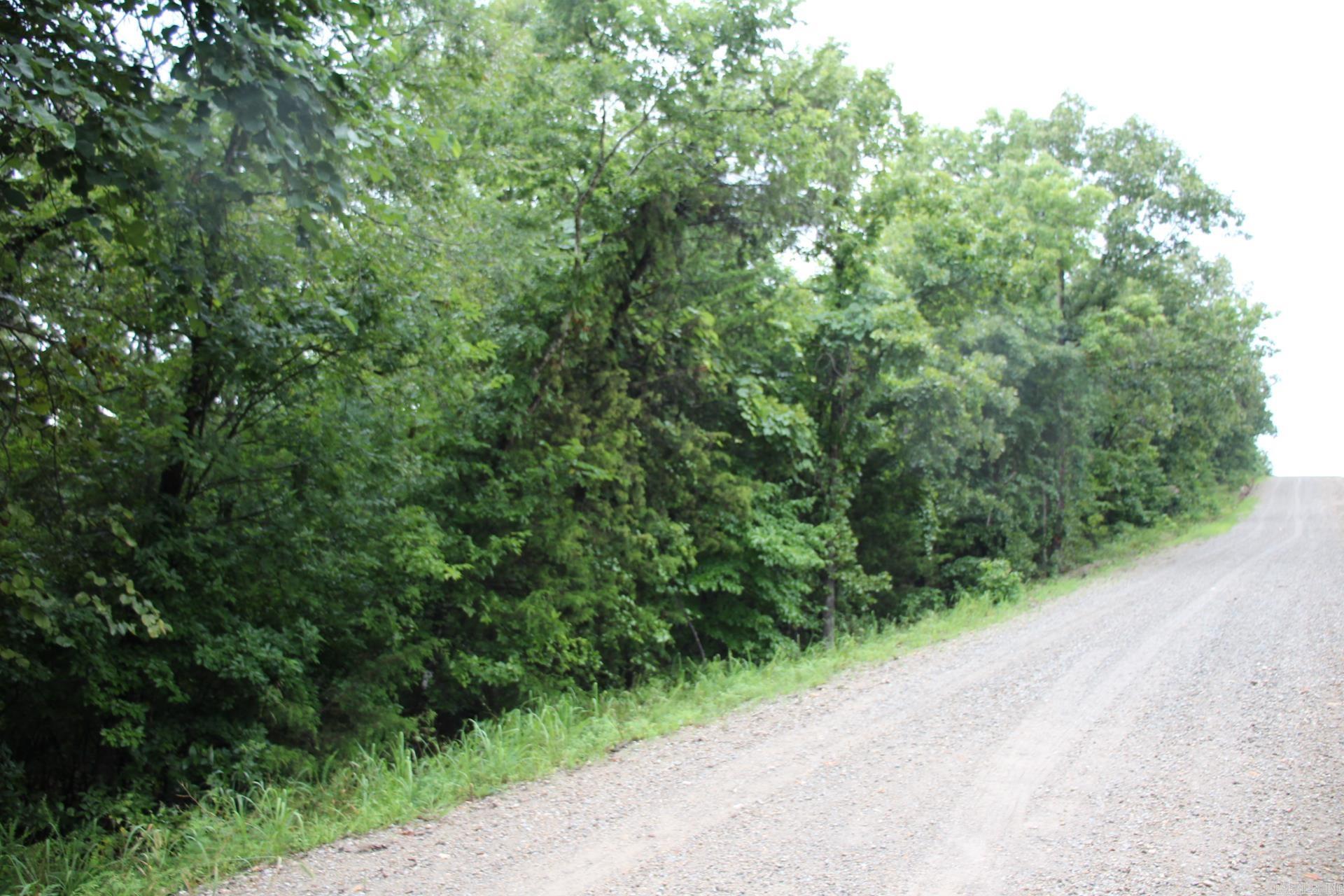 Green Forest Trail Property Photo 11