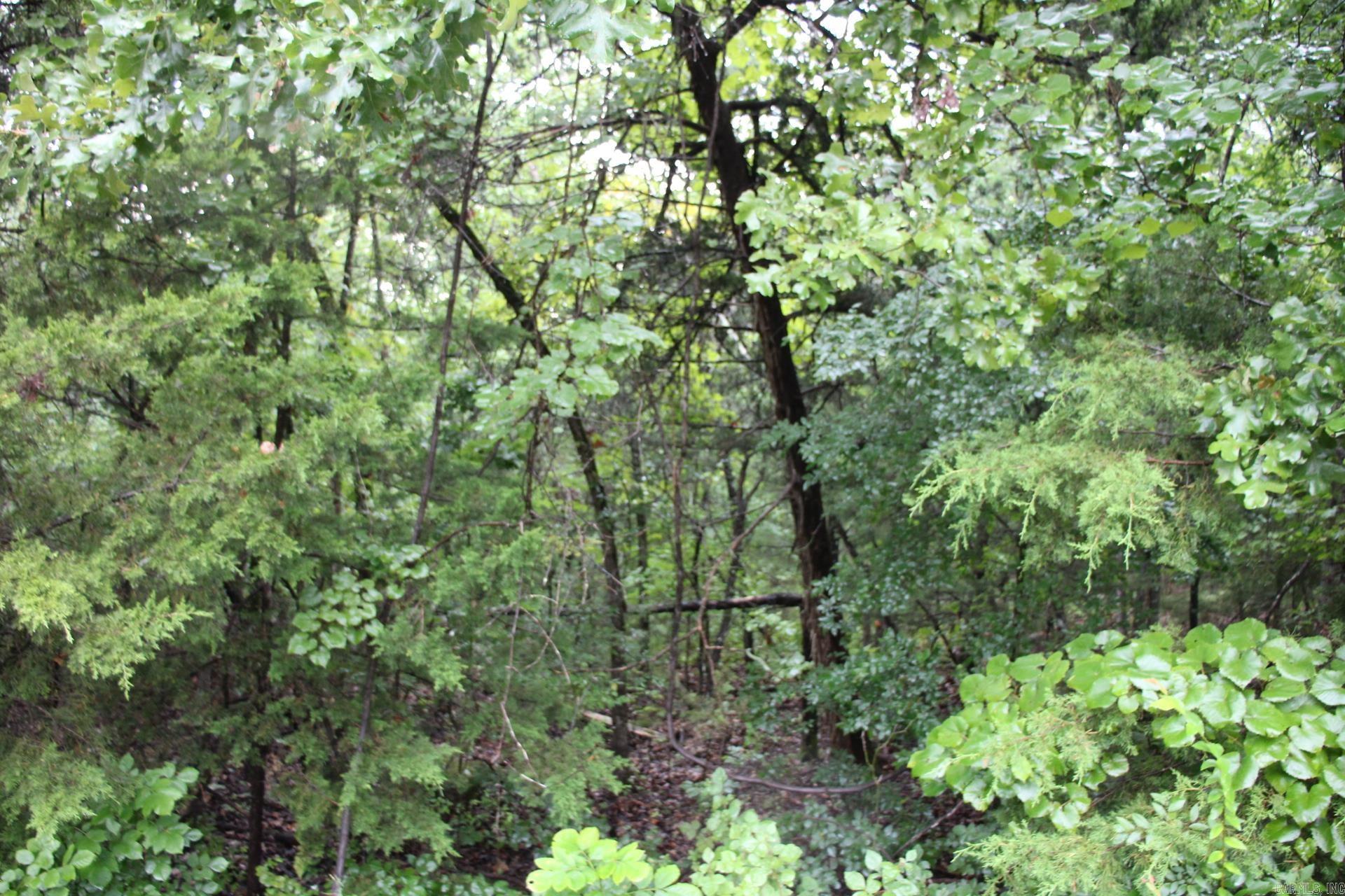 Green Forest Trail Property Photo 13