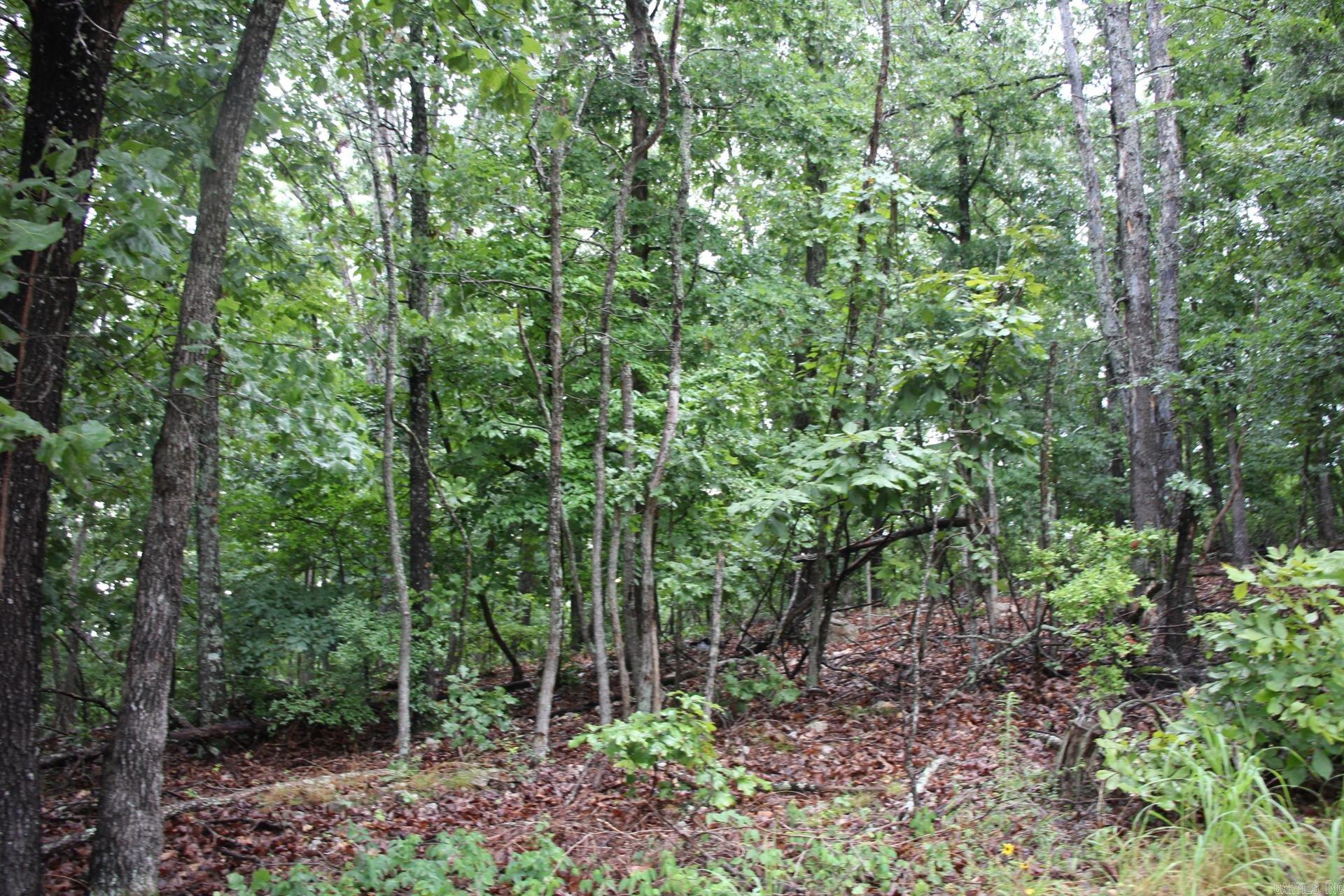 Green Forest Trail Property Photo 17