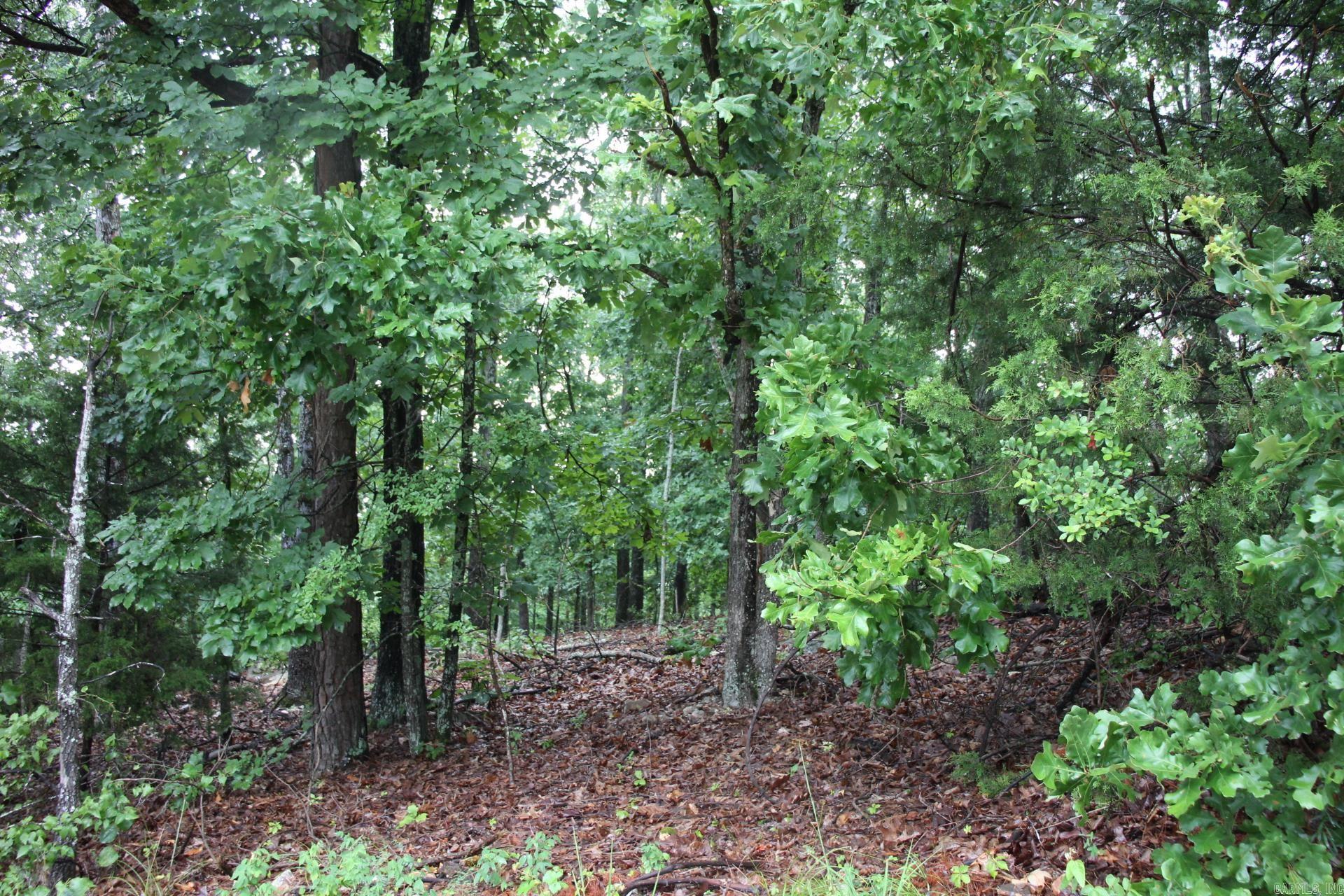 Green Forest Trail Property Photo 18