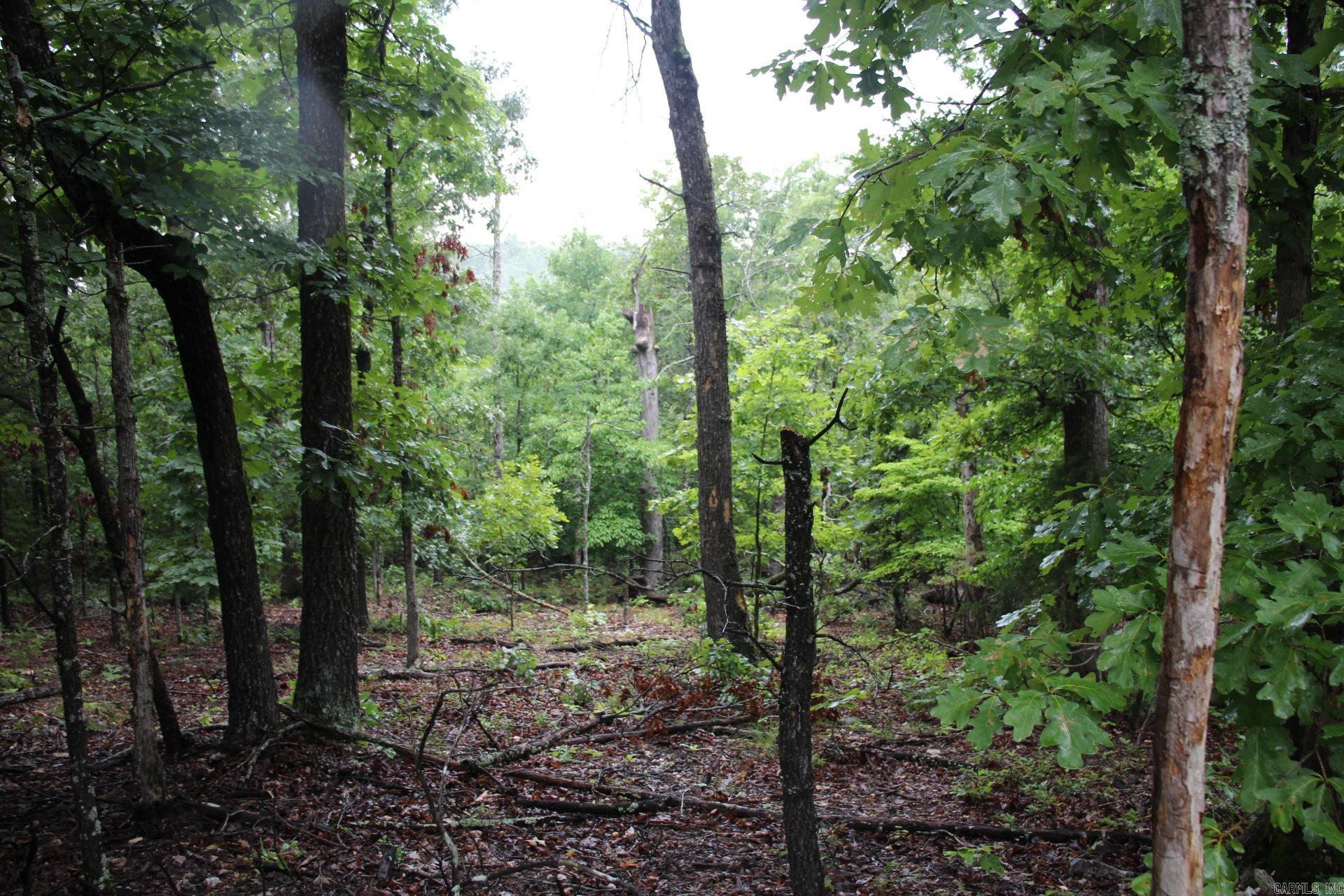 Green Forest Trail Property Photo 22