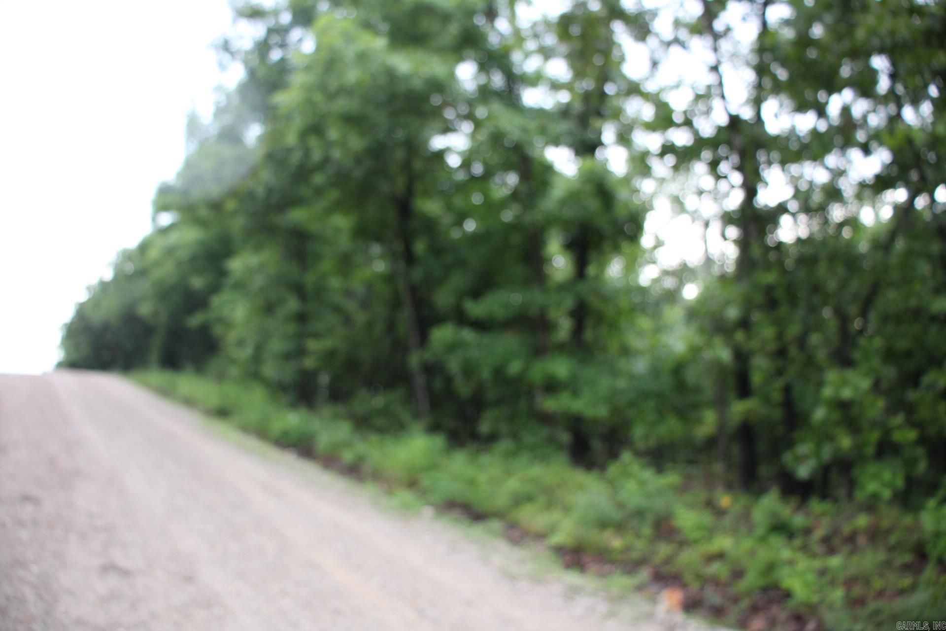 Green Forest Trail Property Photo 24