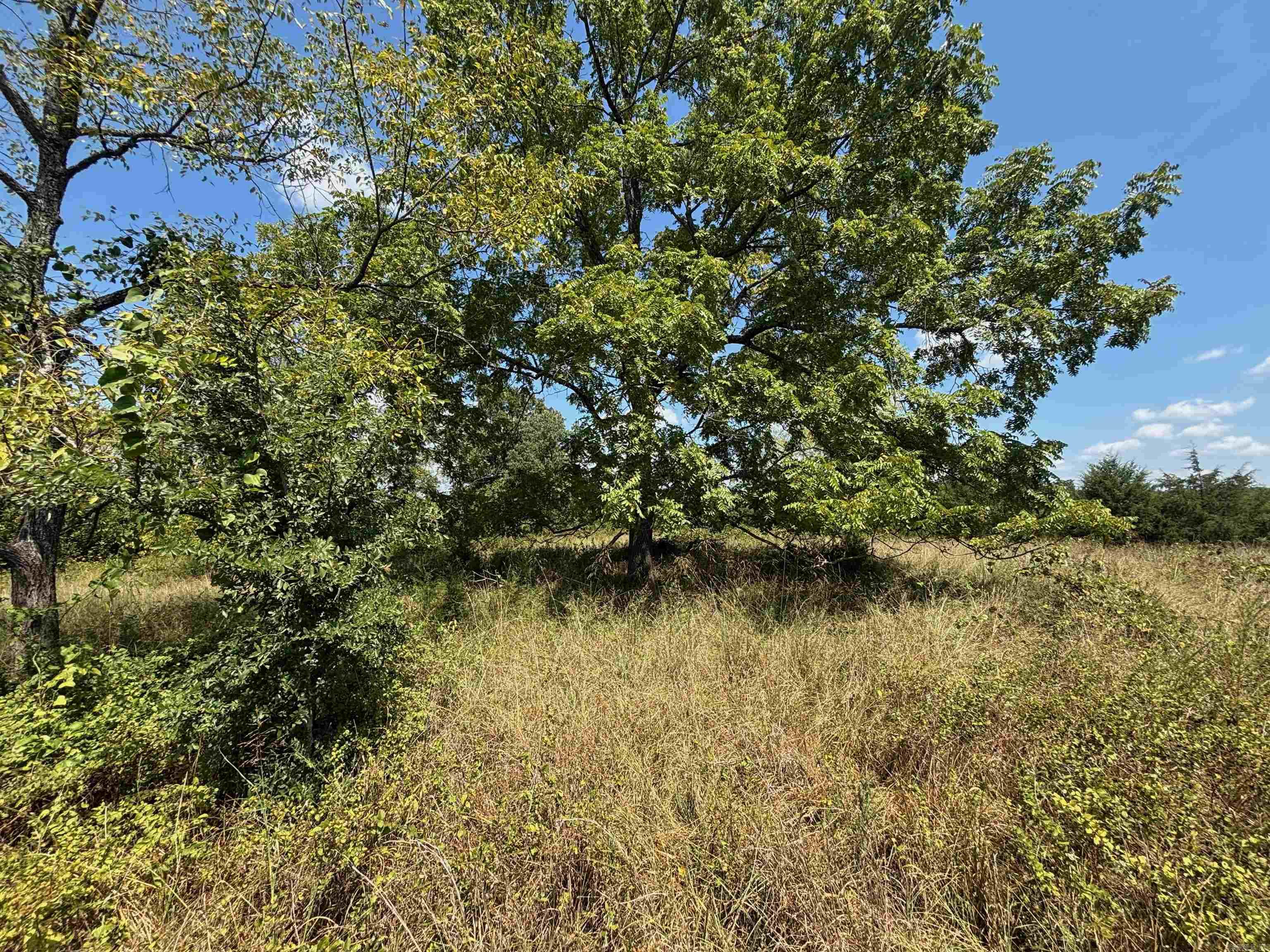 Tract 5 Little Woods Road Property Photo 6
