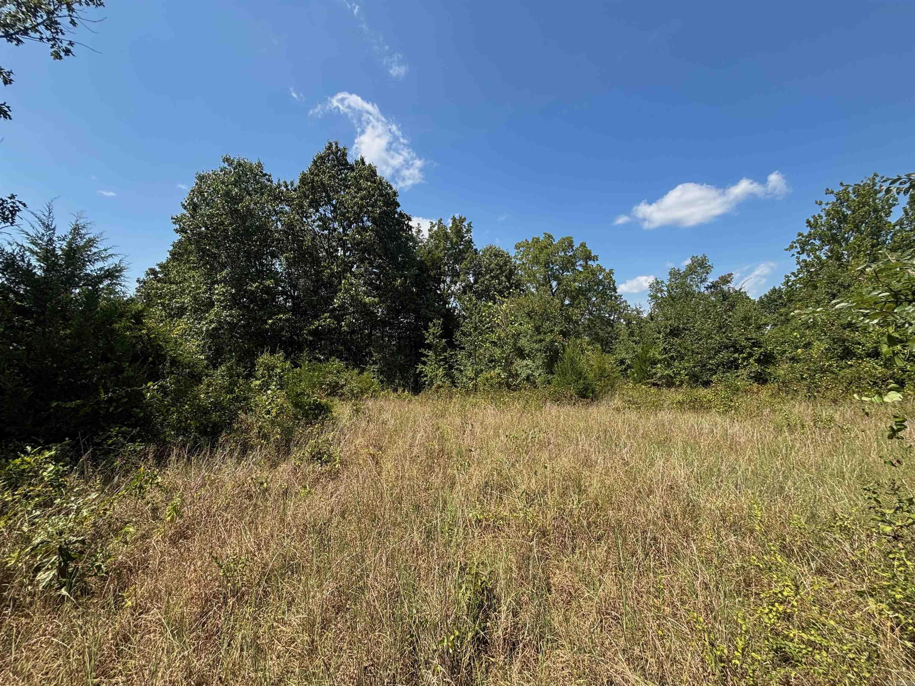 Tract 5 Little Woods Road Property Photo 7