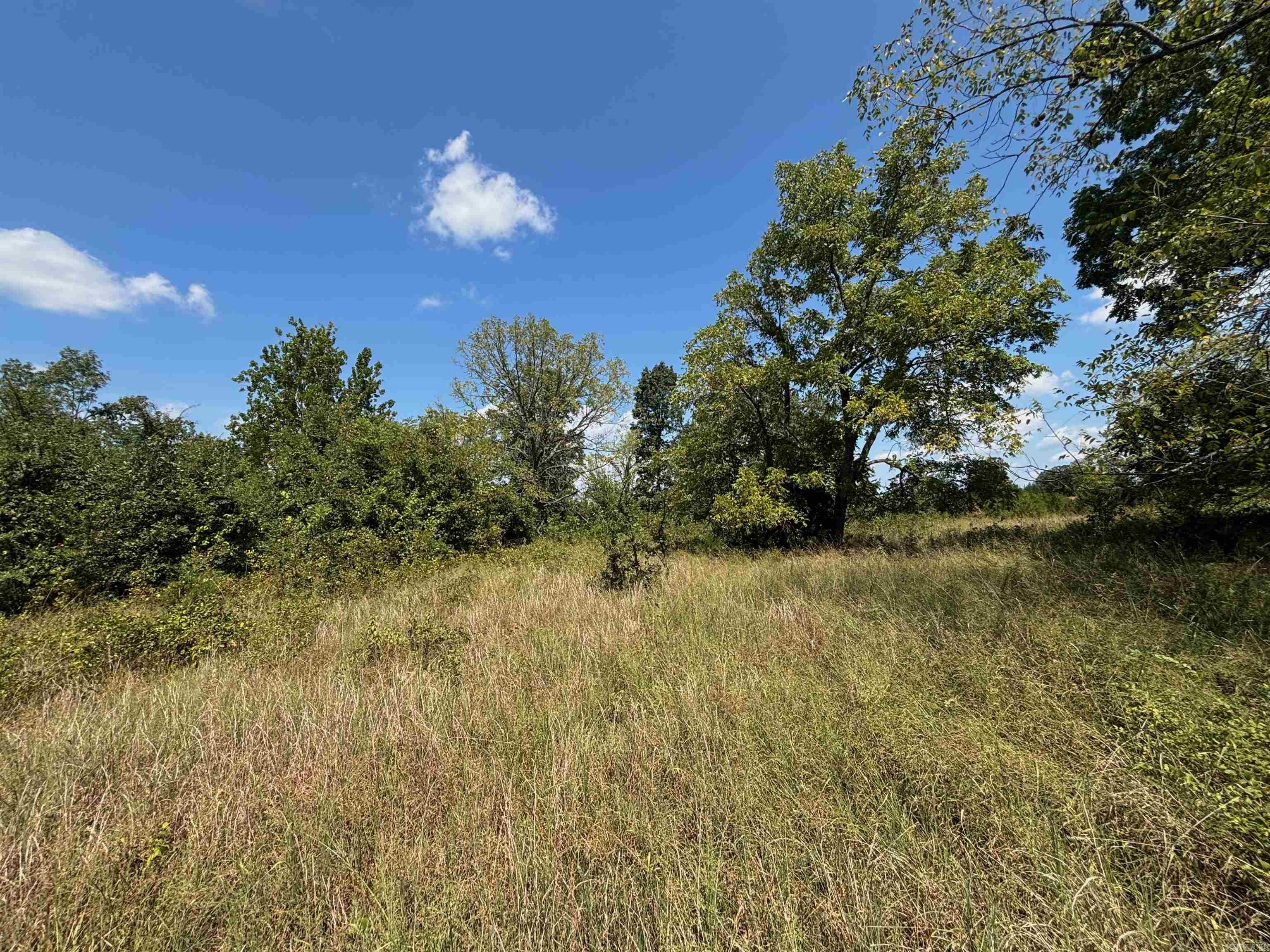 Tract 5 Little Woods Road Property Photo 8