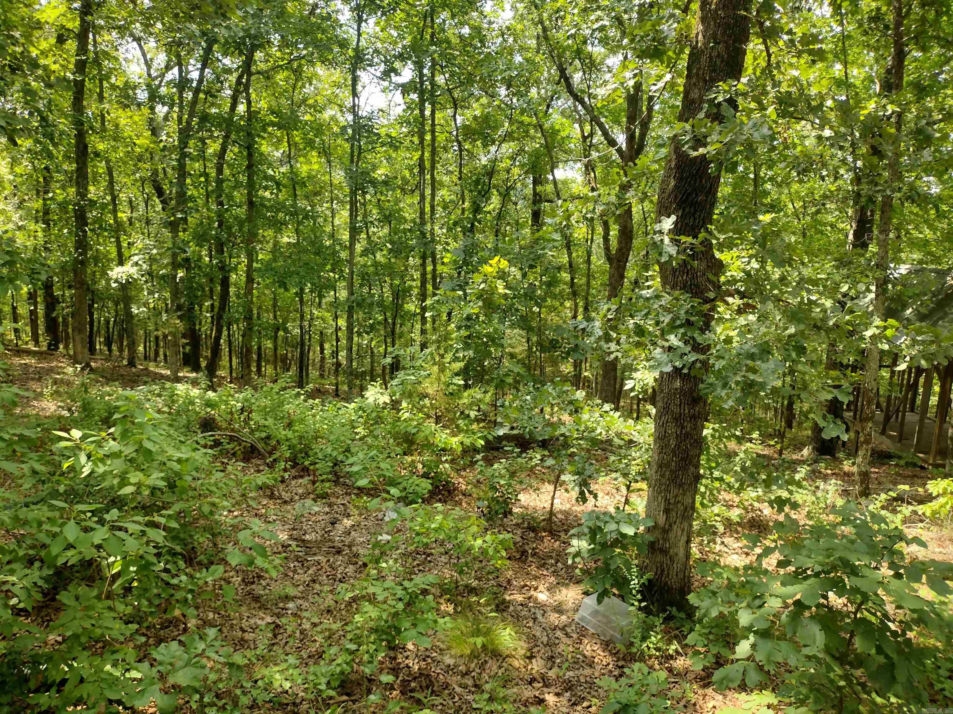 310 Peaceful Peak Ln Property Photo 5
