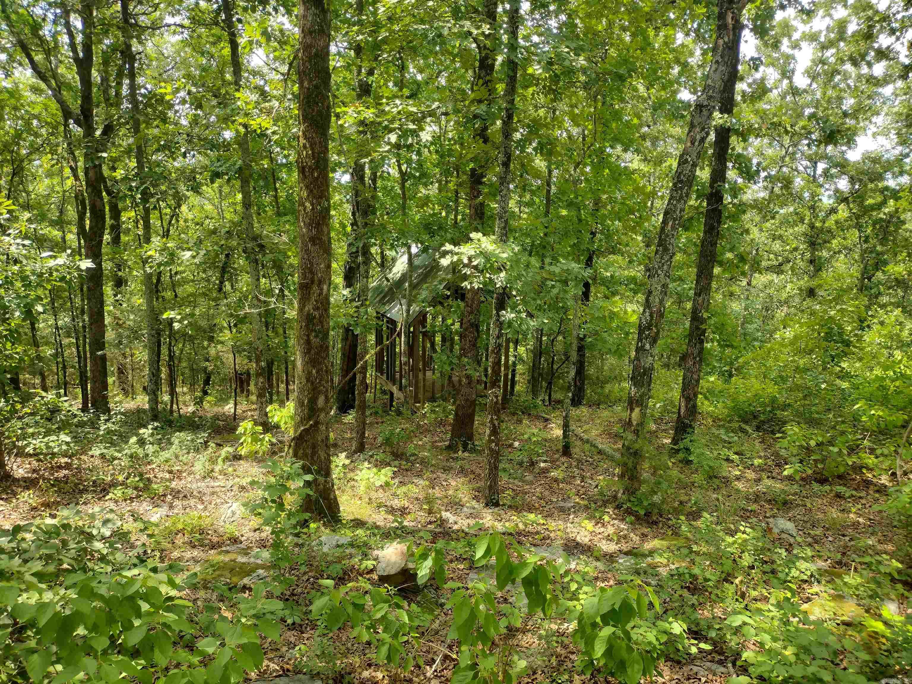 310 Peaceful Peak Ln Property Photo 6