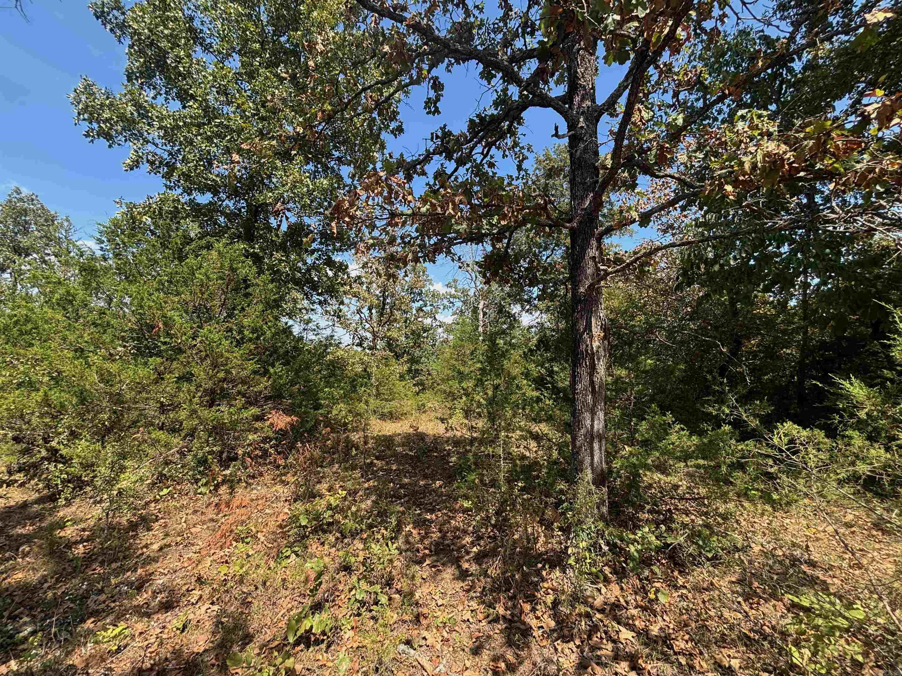 Tract 8 Little Woods Road Property Photo 6