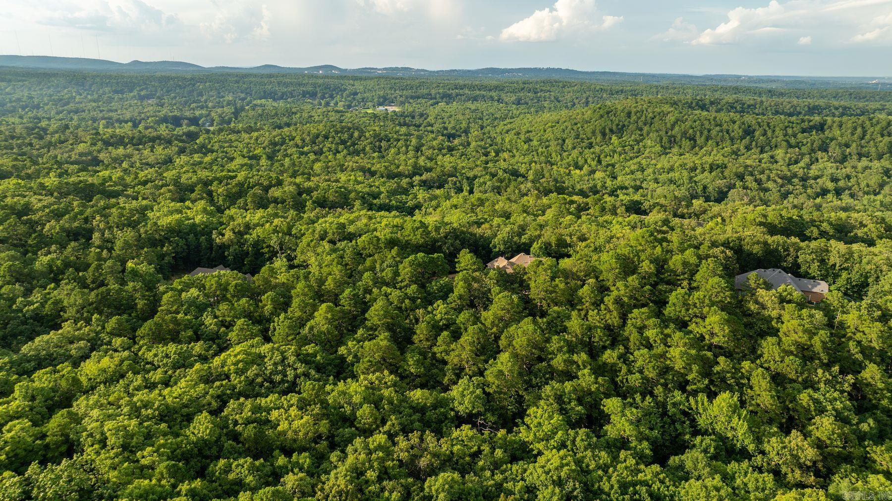 5100 Mchenry Creek Circle Property Photo 48