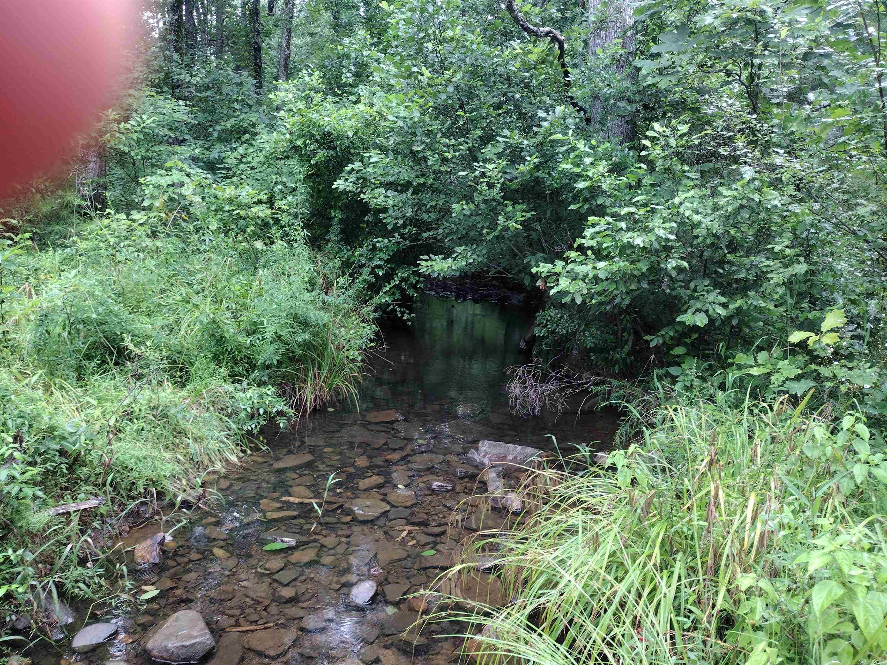 300 Arrow Head Property Photo 4