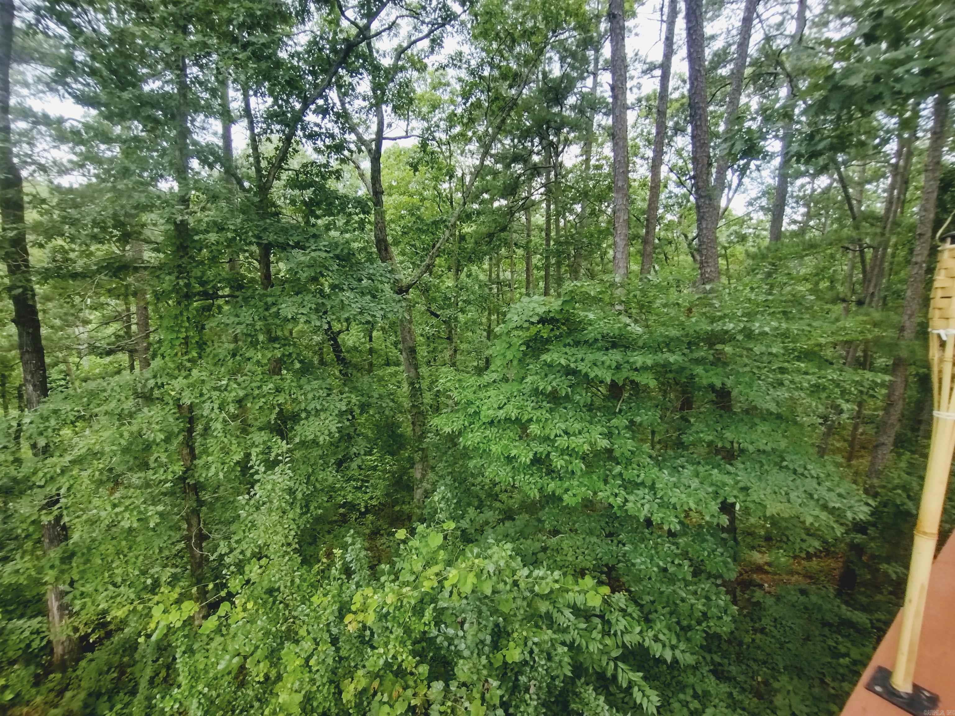 300 Arrow Head Property Photo 29