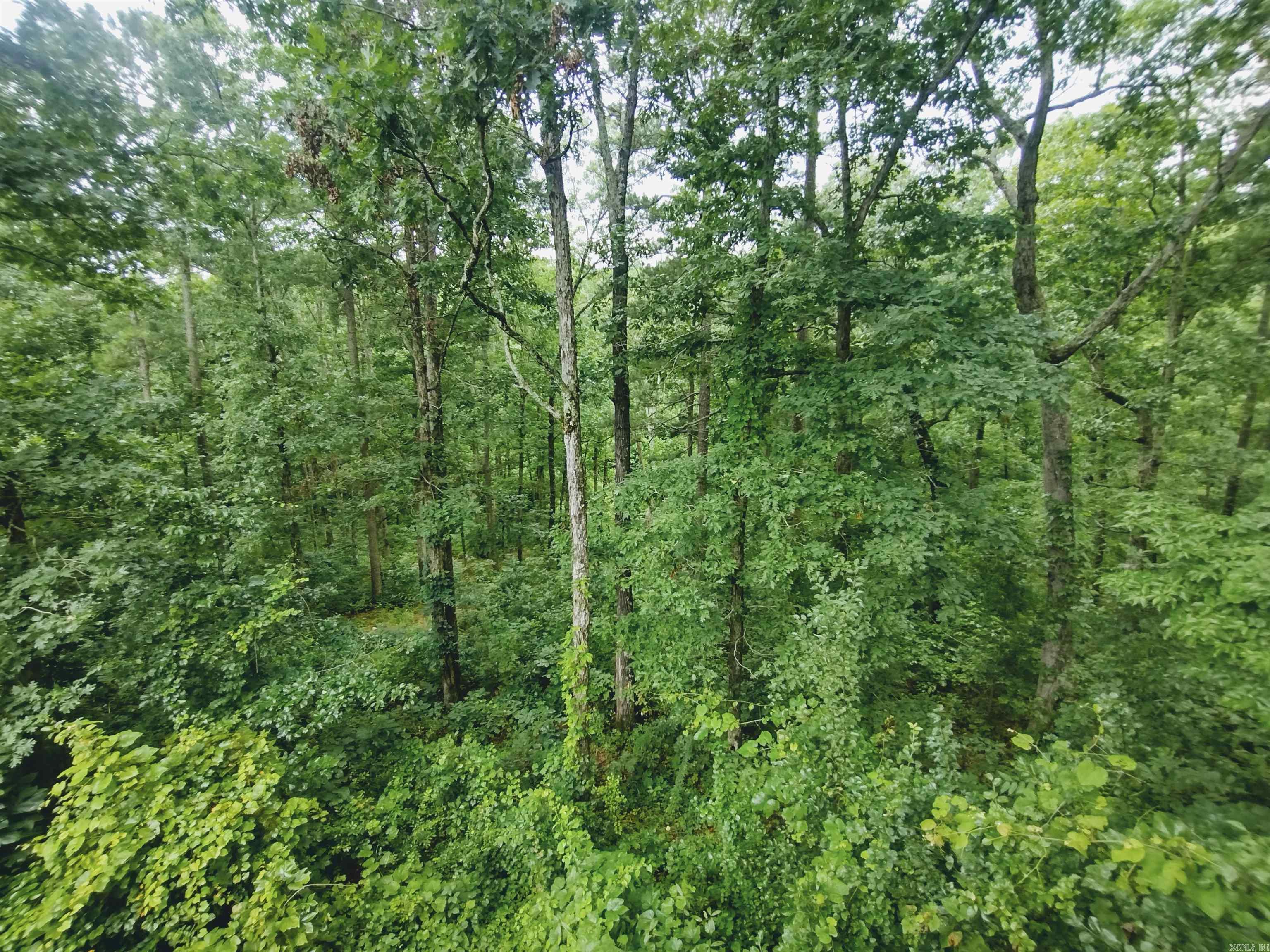 300 Arrow Head Property Photo 31