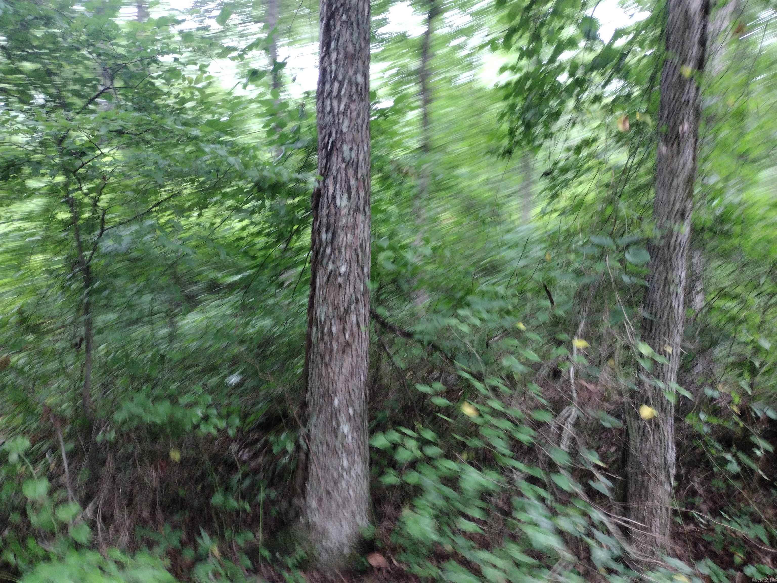 300 Arrow Head Property Photo 32