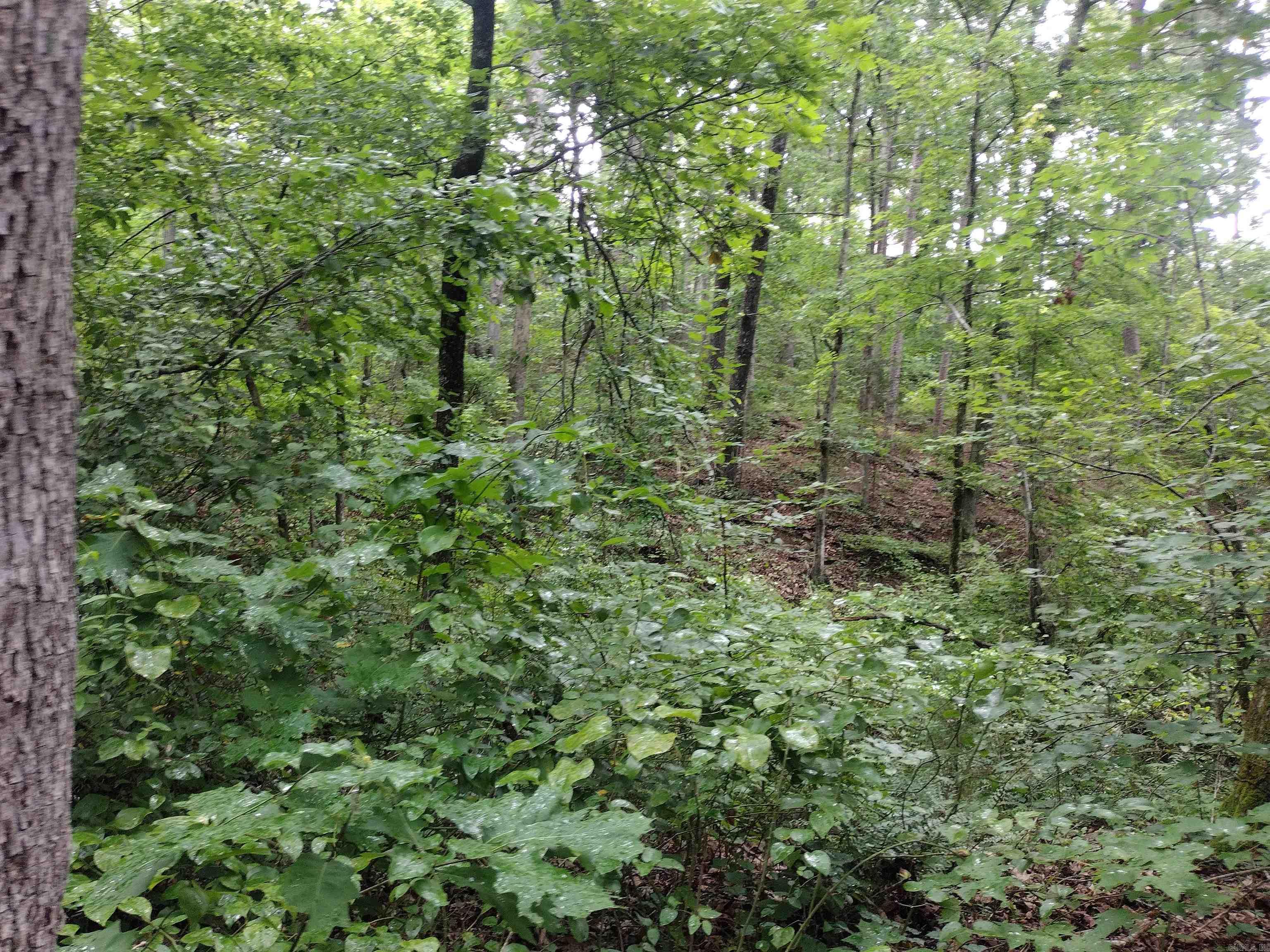 300 Arrow Head Property Photo 34