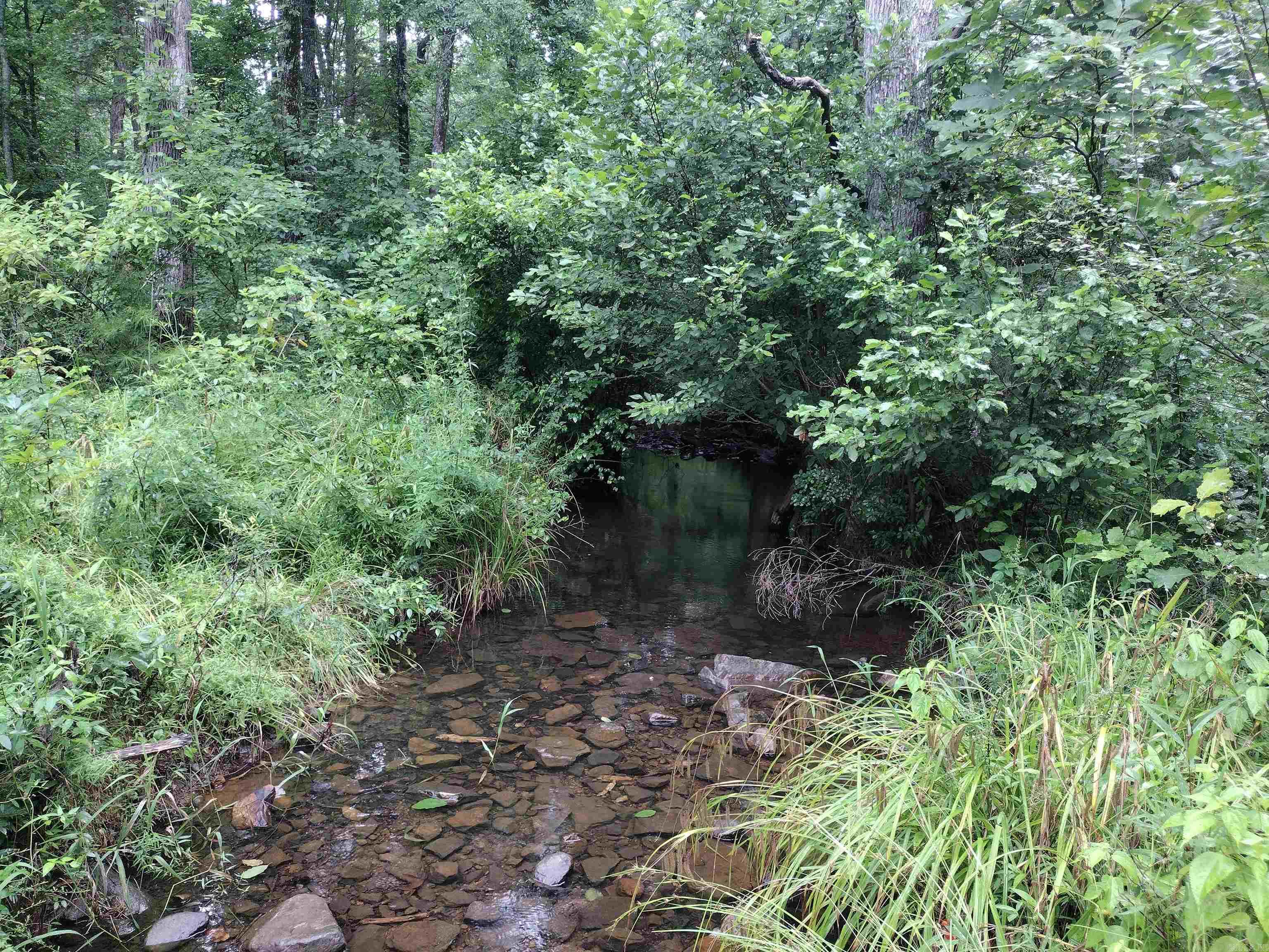 300 Arrow Head Property Photo 35