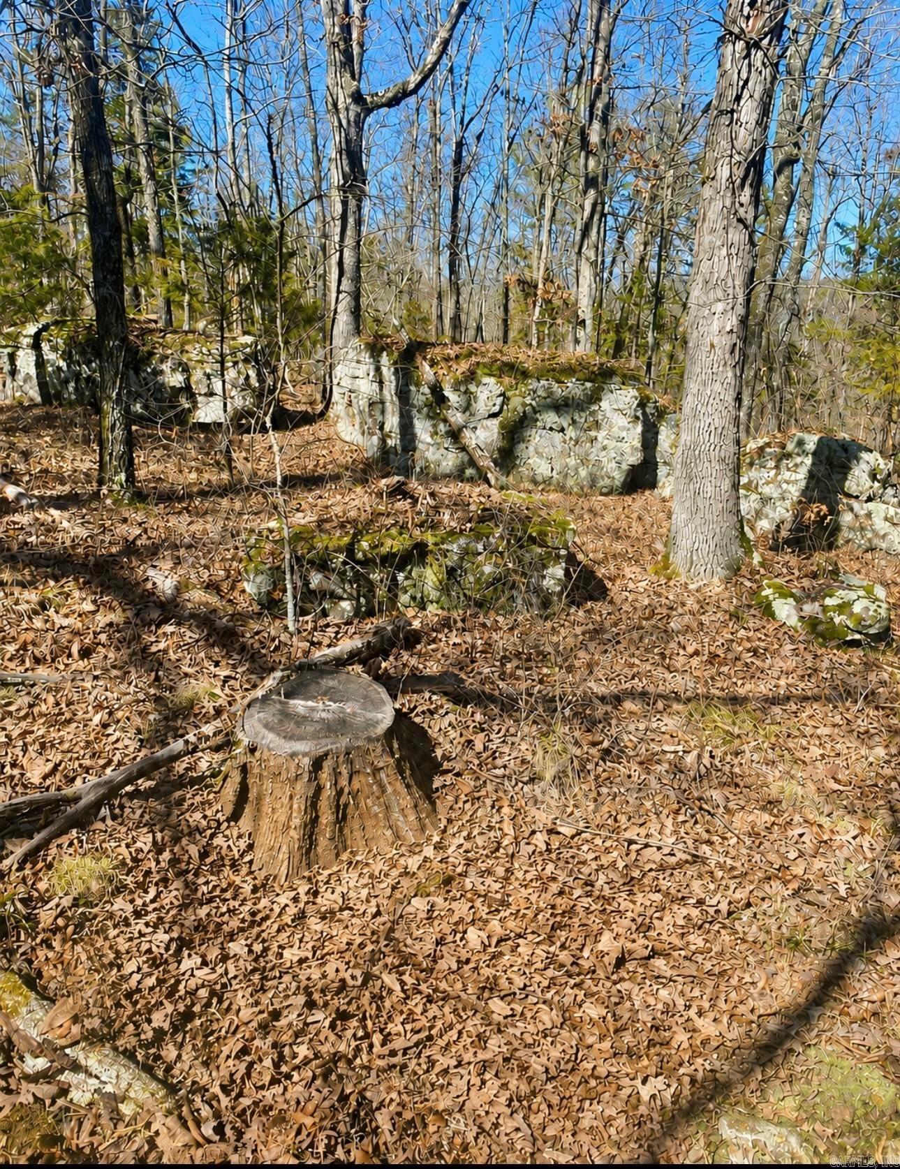300 Arrow Head Property Photo 36