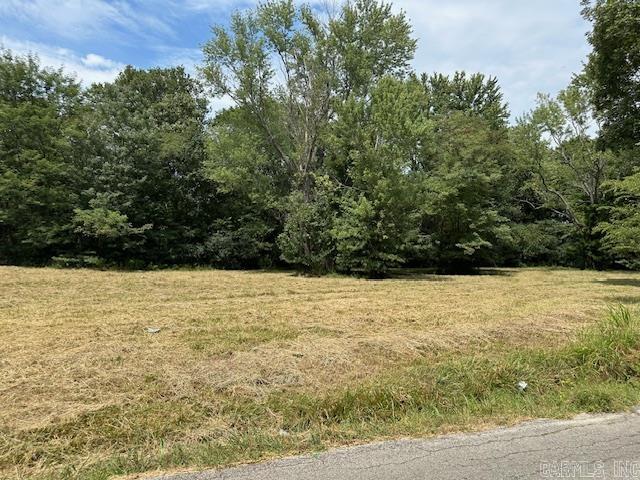 10 Acres B Property Photo 5
