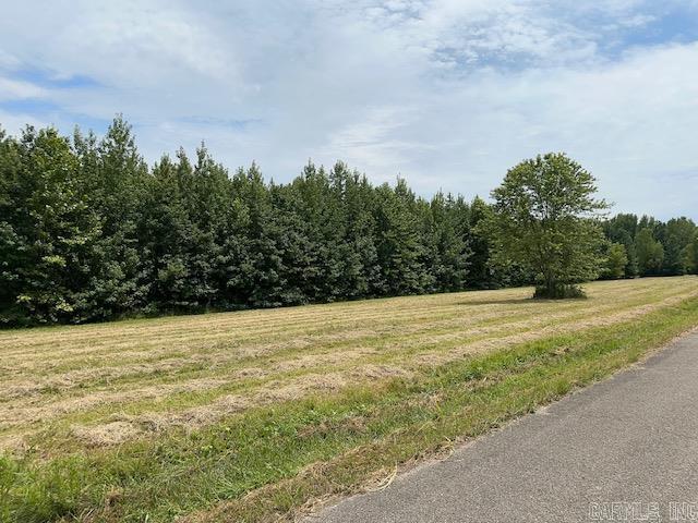 10 Acres B Property Photo 6