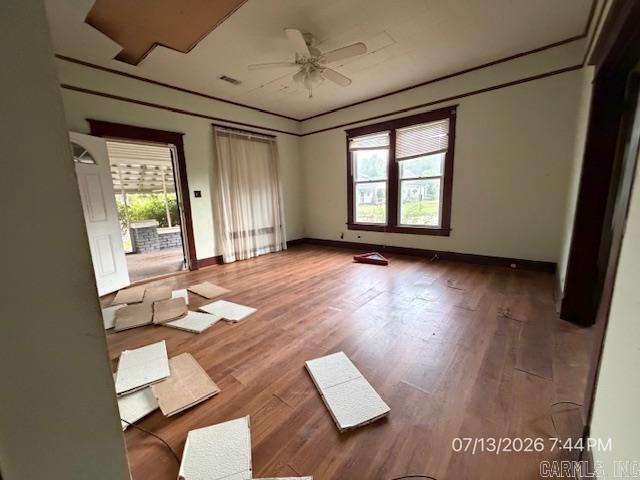 1519 W 19th Avenue Property Photo 5