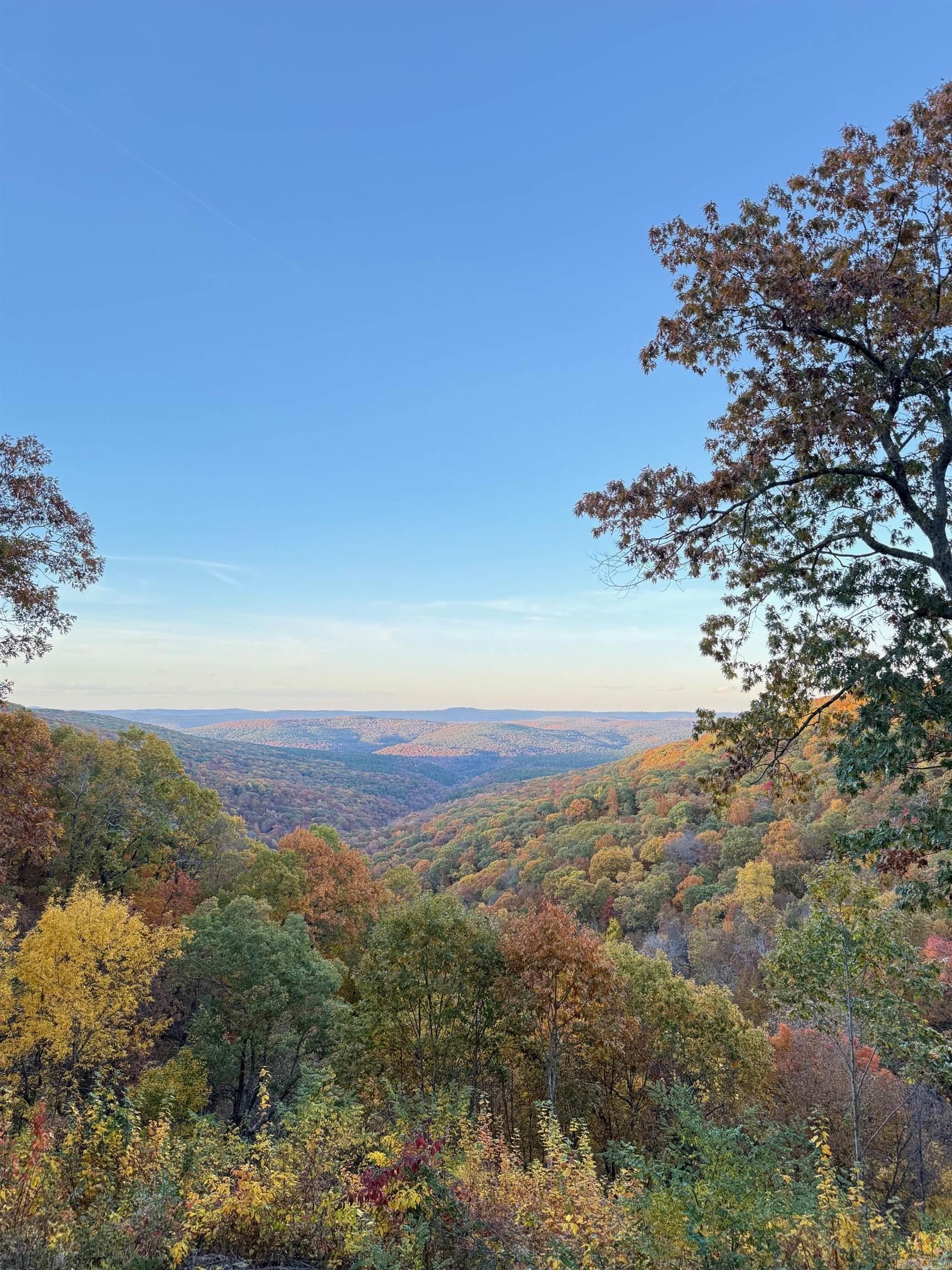 5800 White Oak Mountain Road Property Photo 3