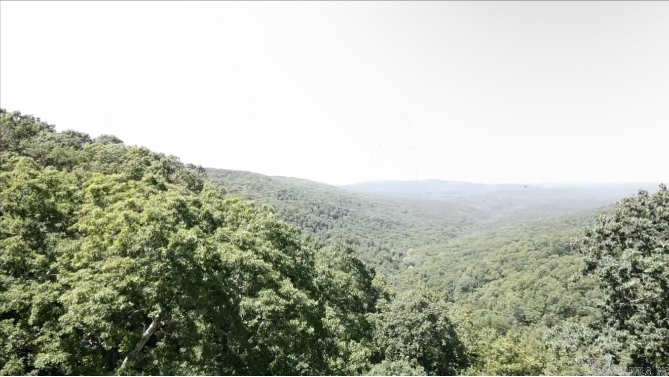 5800 White Oak Mountain Road Property Photo 8