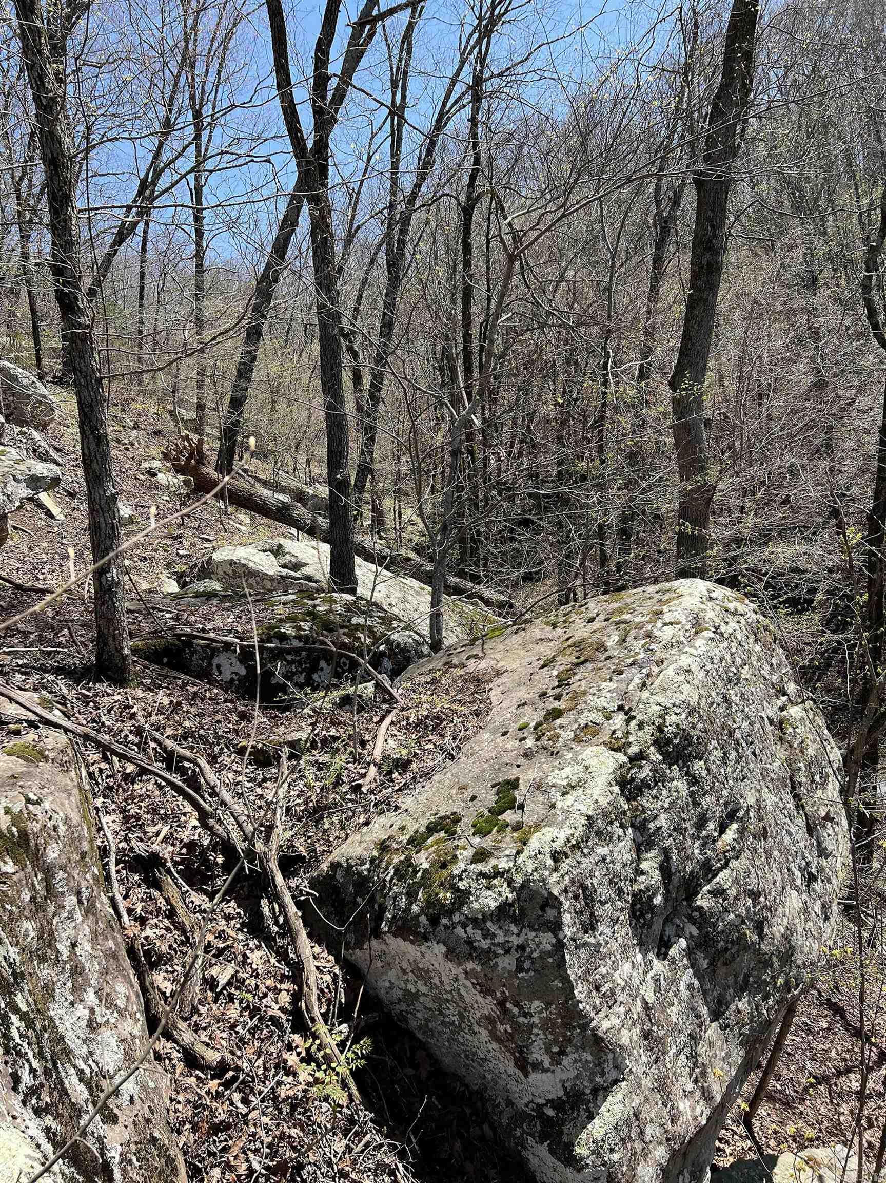 5800 White Oak Mountain Road Property Photo 31