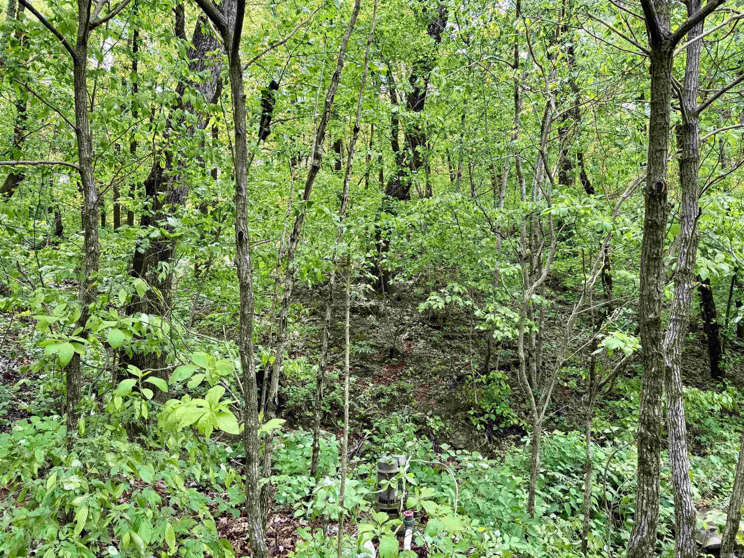 5800 White Oak Mountain Road Property Photo 38