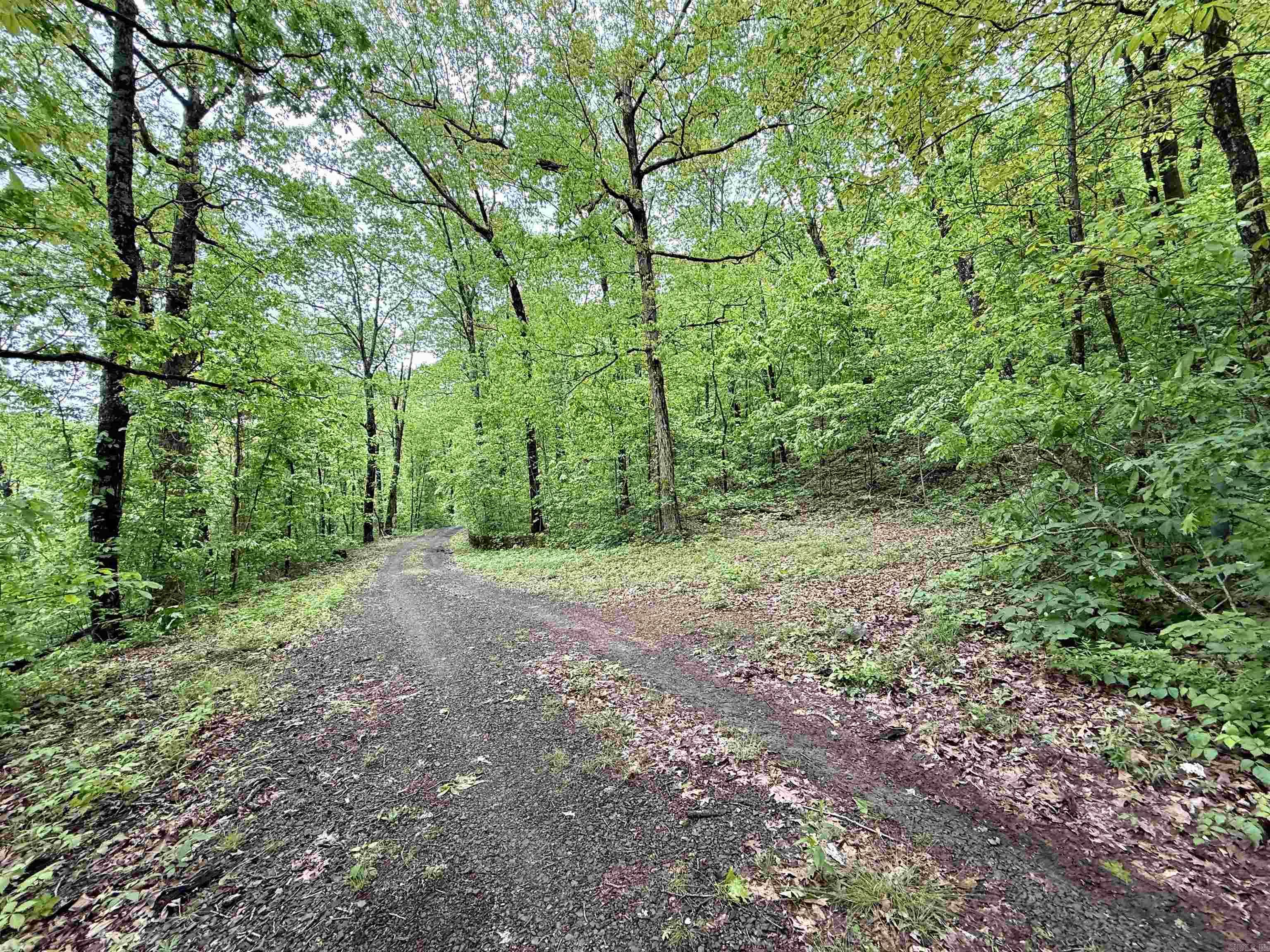 5800 White Oak Mountain Road Property Photo 39