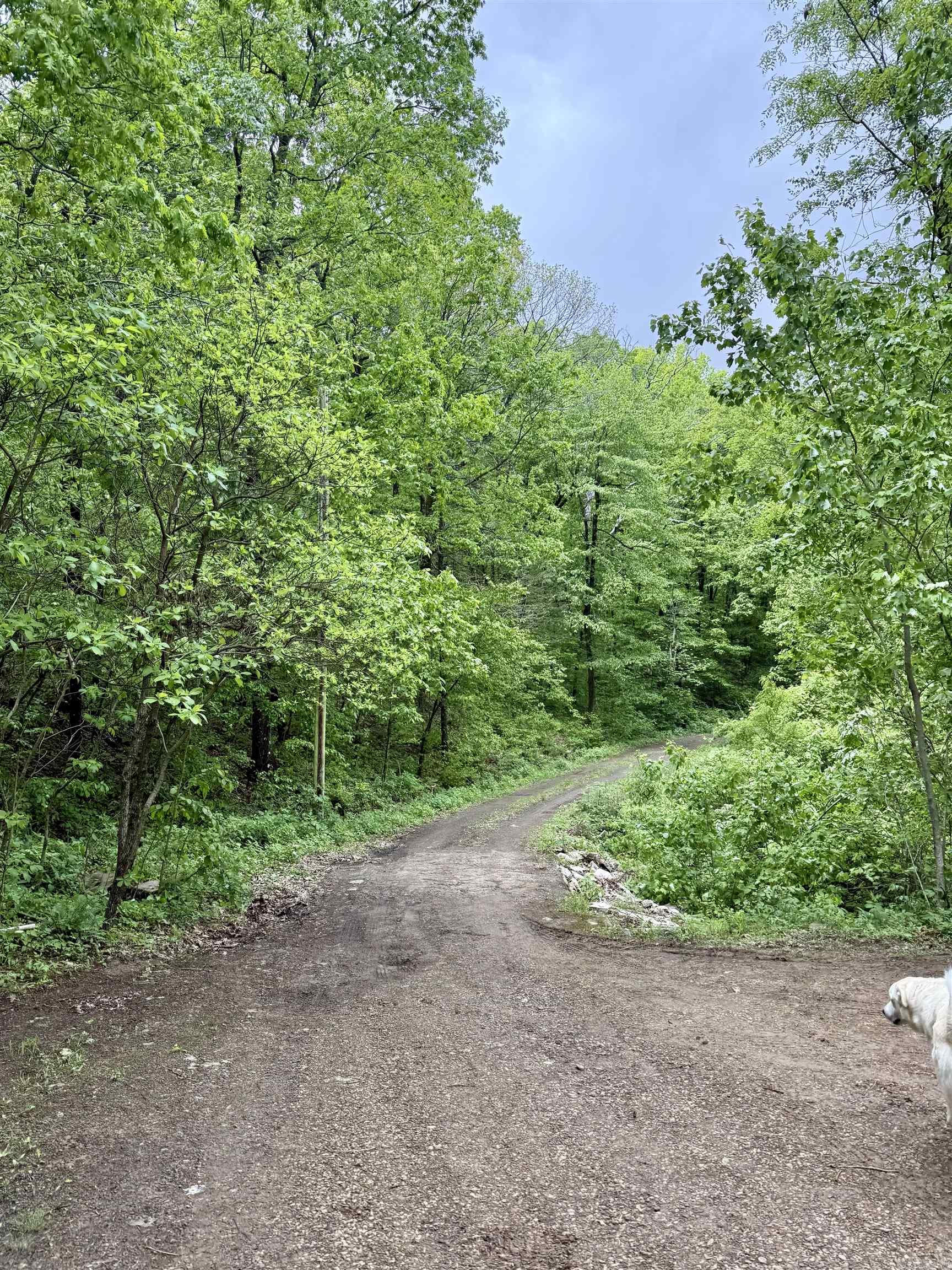 5800 White Oak Mountain Road Property Photo 40