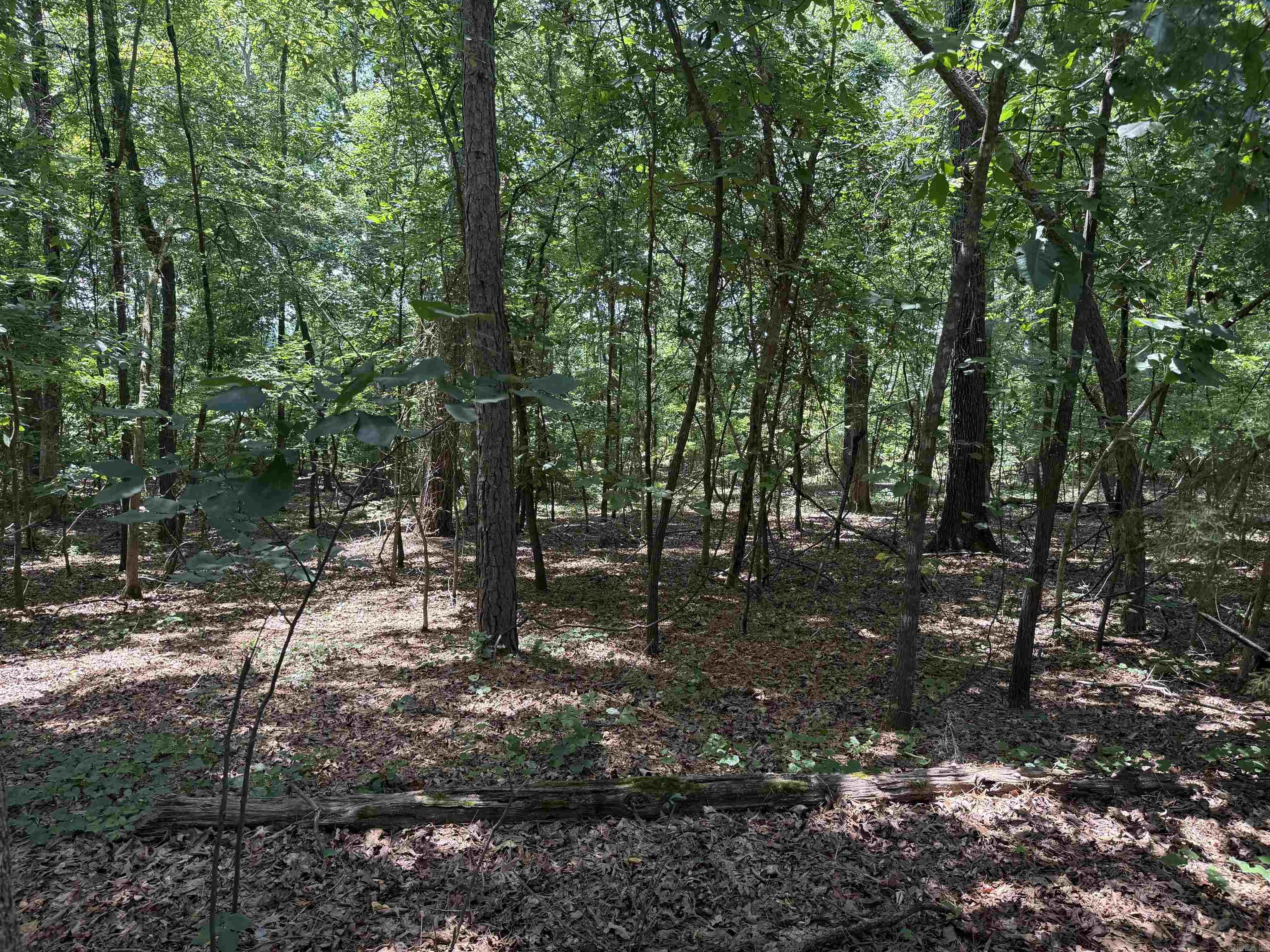 Oakmont Drive Property Photo 2